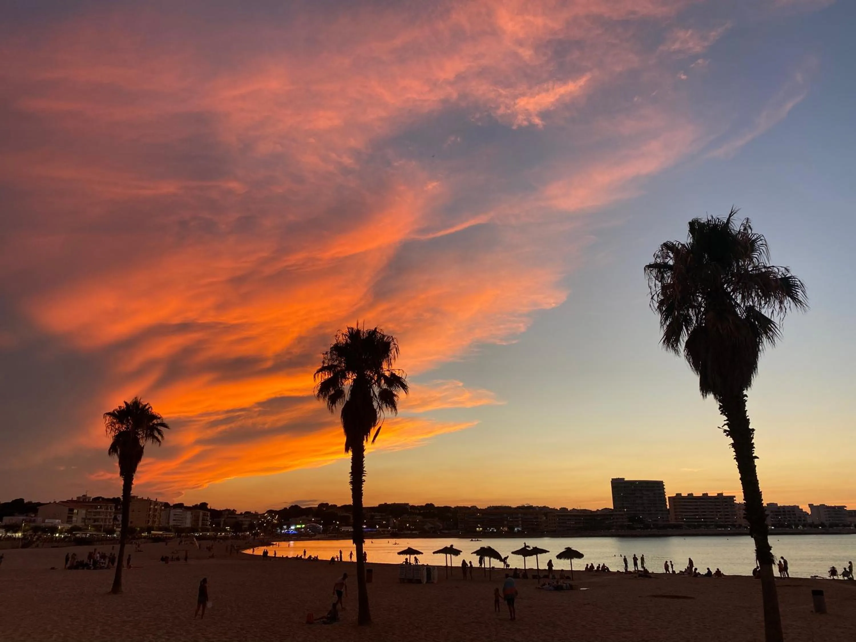 Natural landscape in Precioso apartamento en primera línea de mar