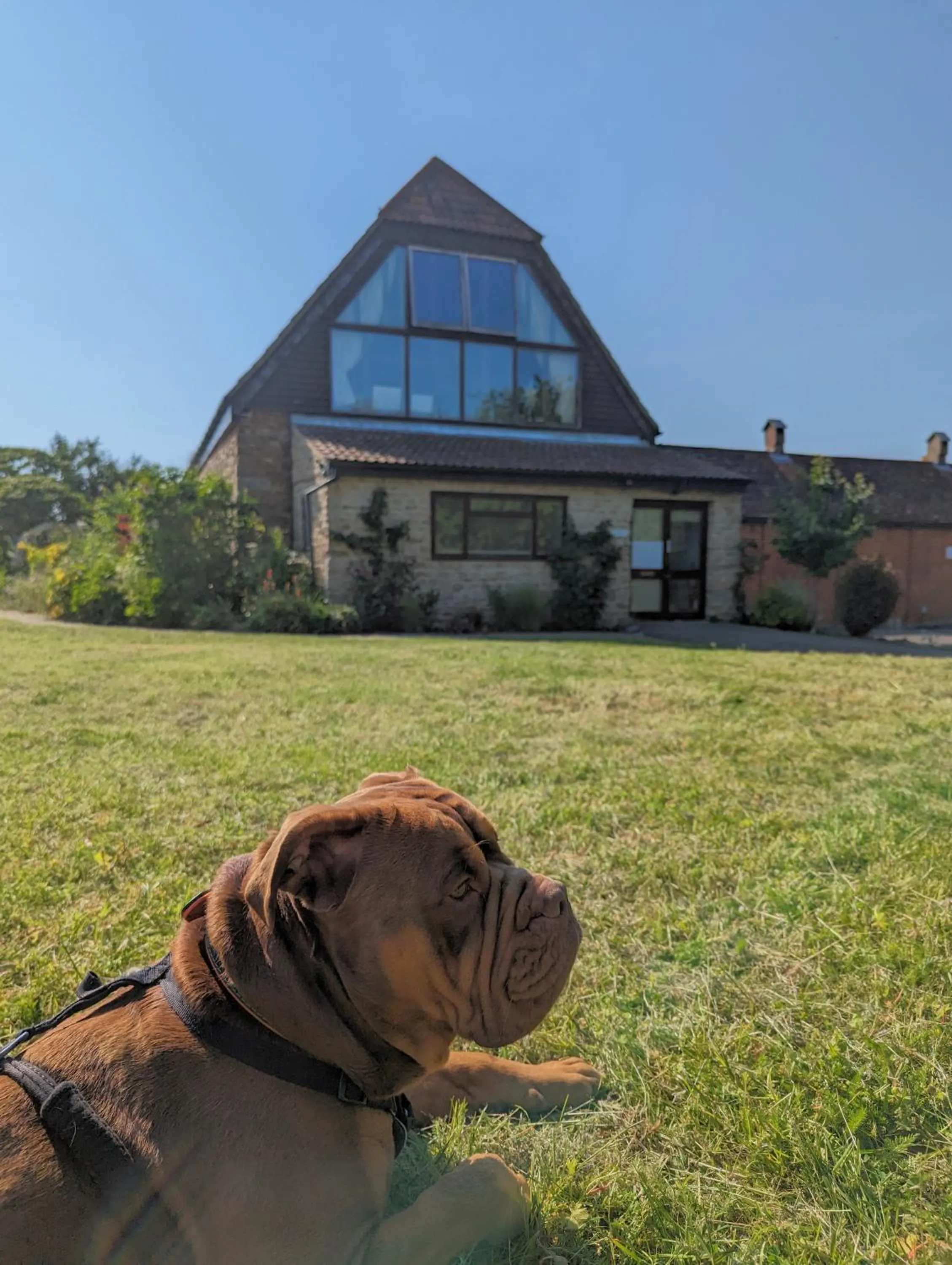 Property building in Kingfisher Barn