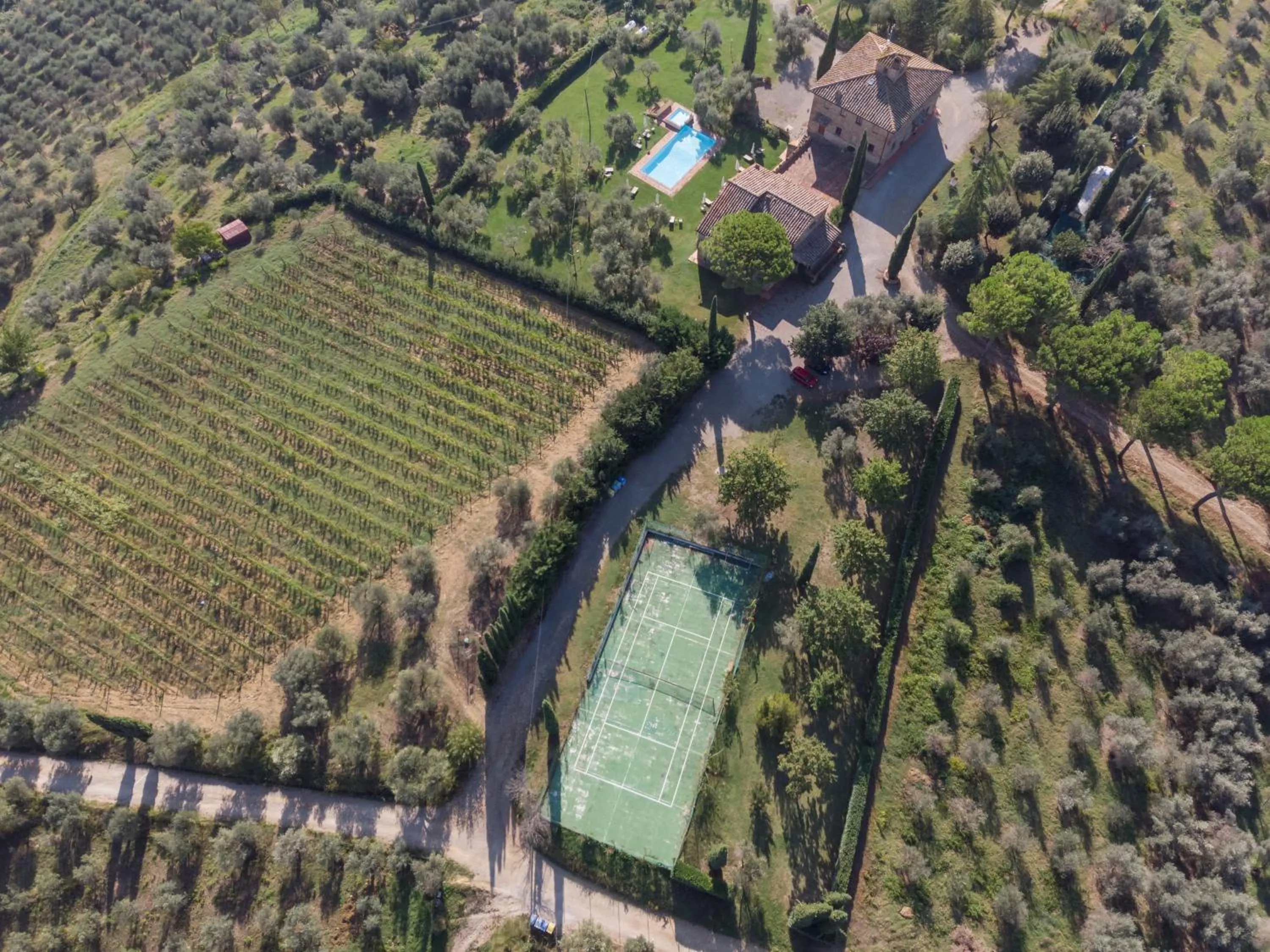 Bird's eye view in Fattoria Querceto