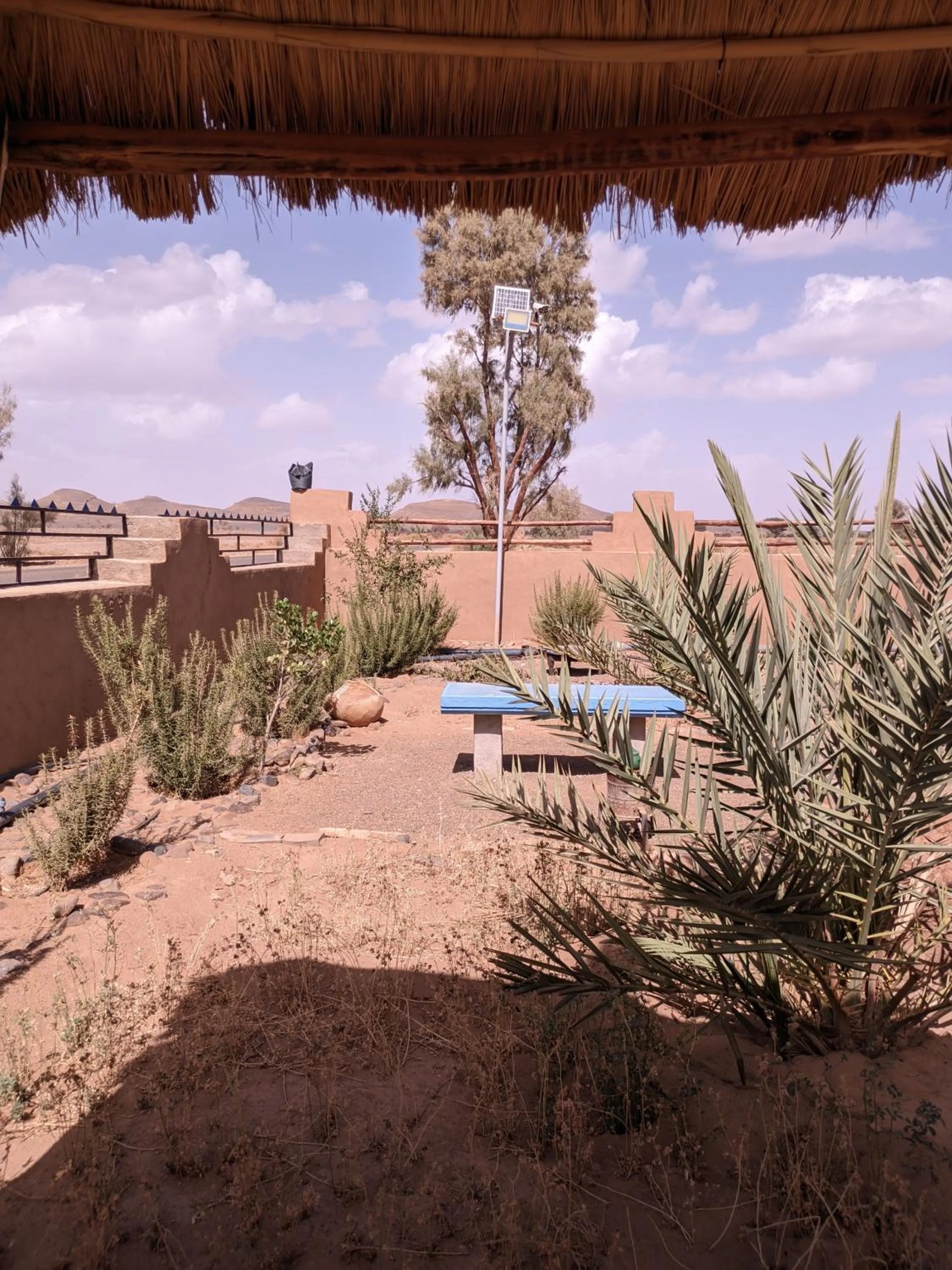 Café restaurante shelter calm life