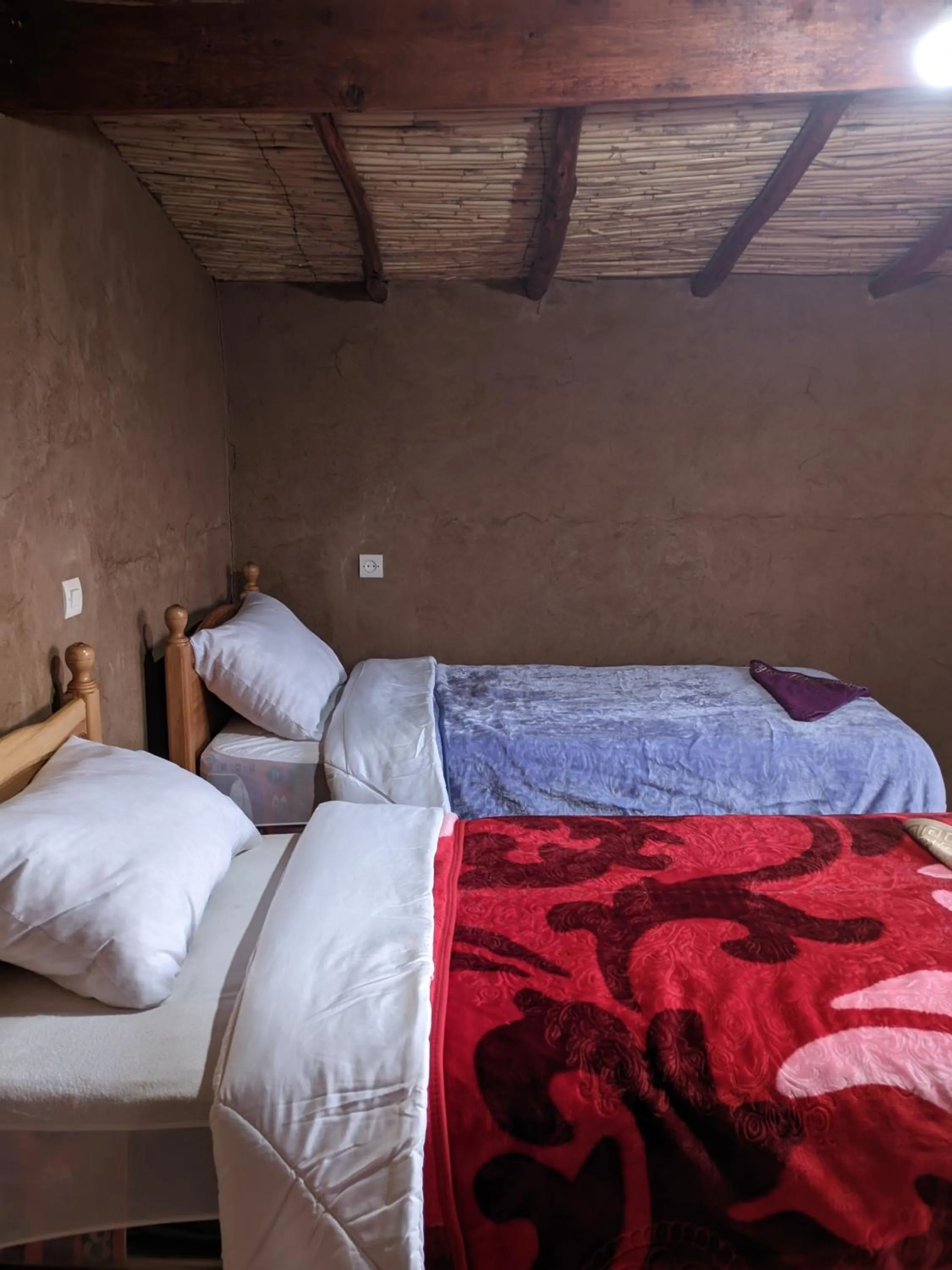 Bed in Café restaurante shelter calm life