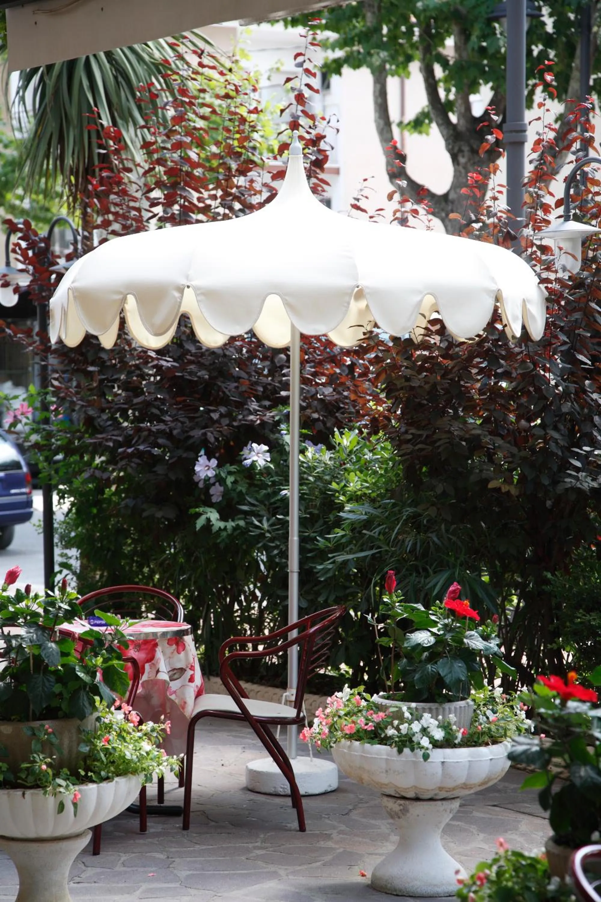 Garden in Hotel Devon Rooms & Breakfast