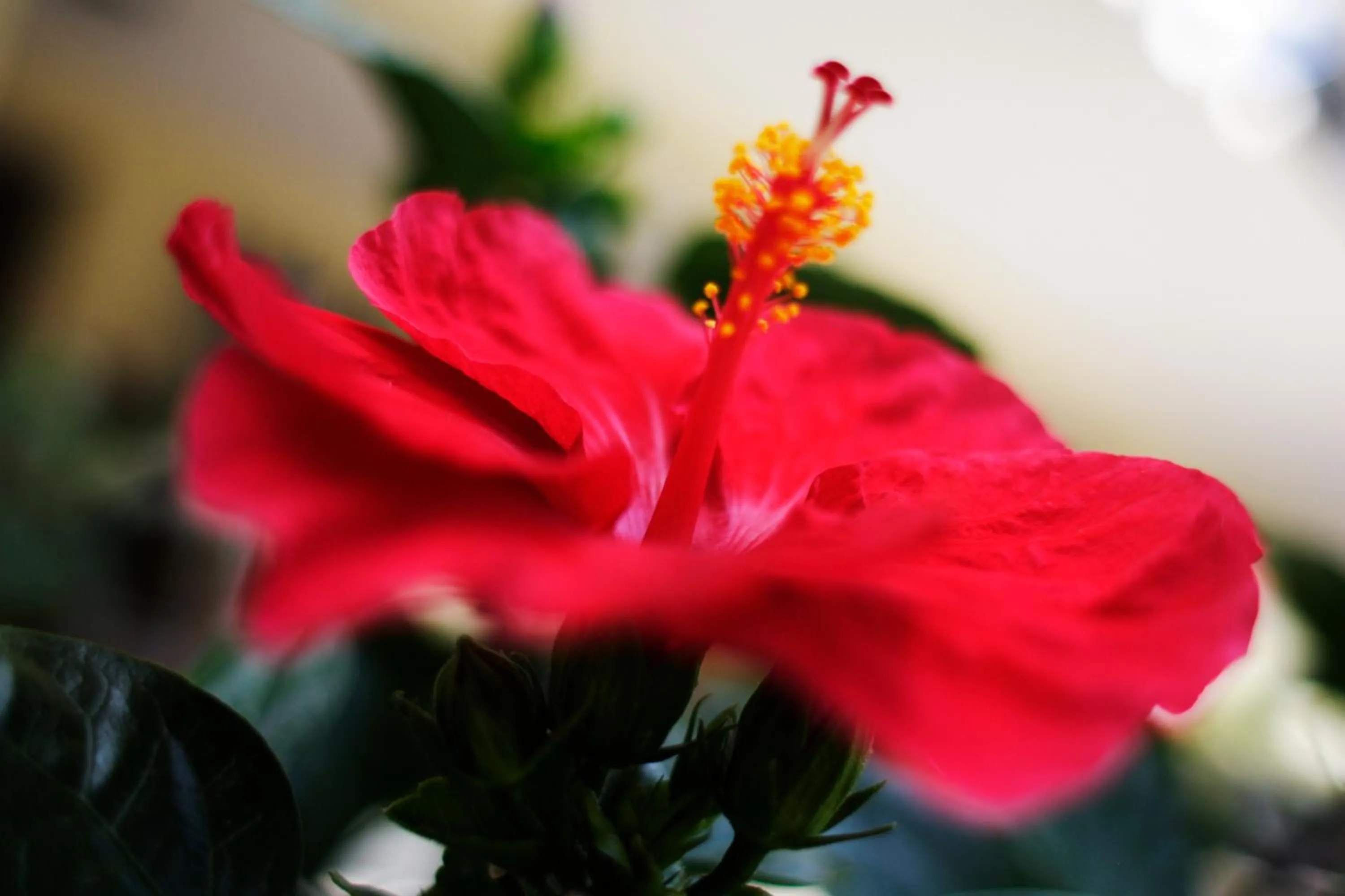 Decorative detail in Hotel Devon Rooms & Breakfast