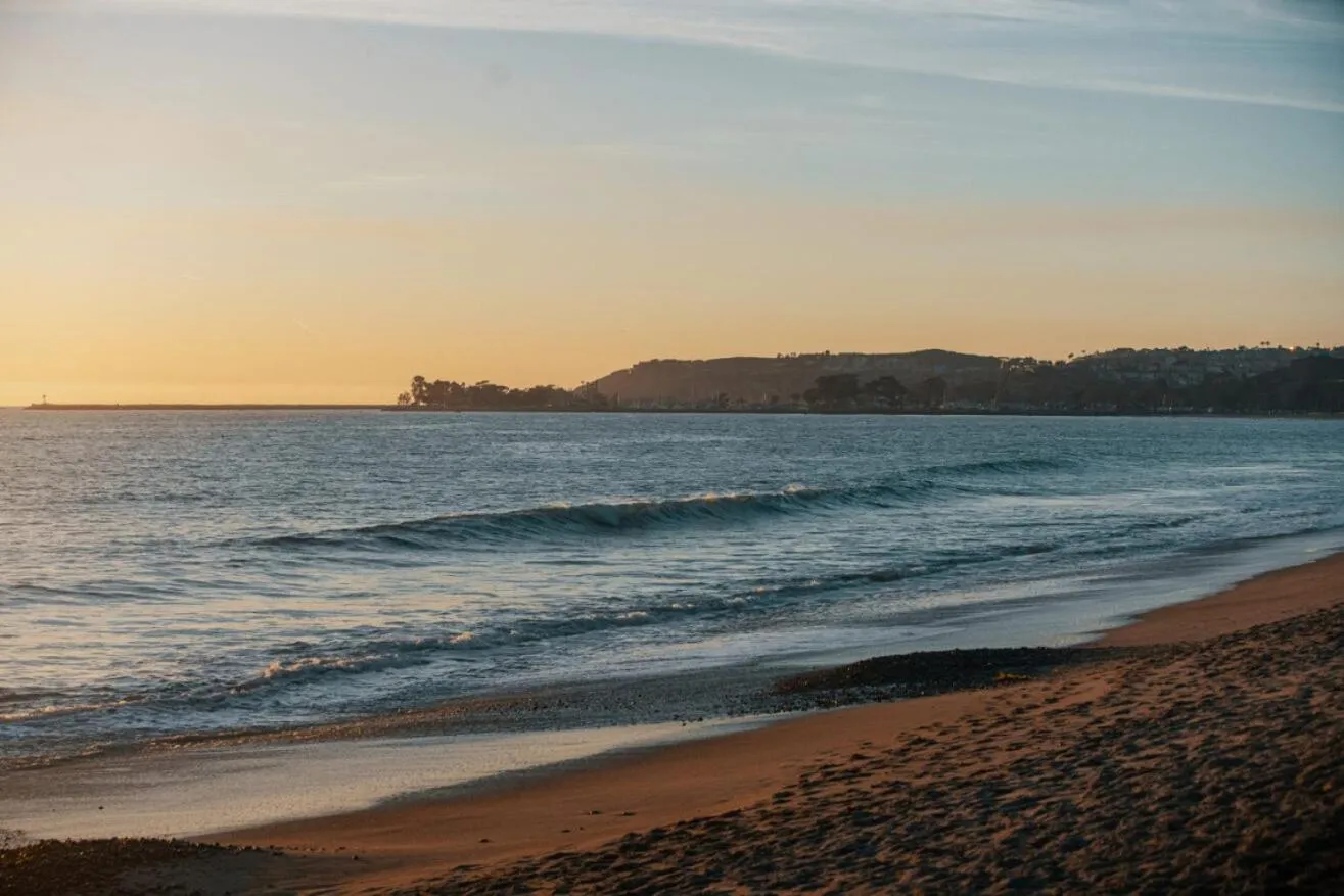 Beach in El Caminante Bar & Bungalows