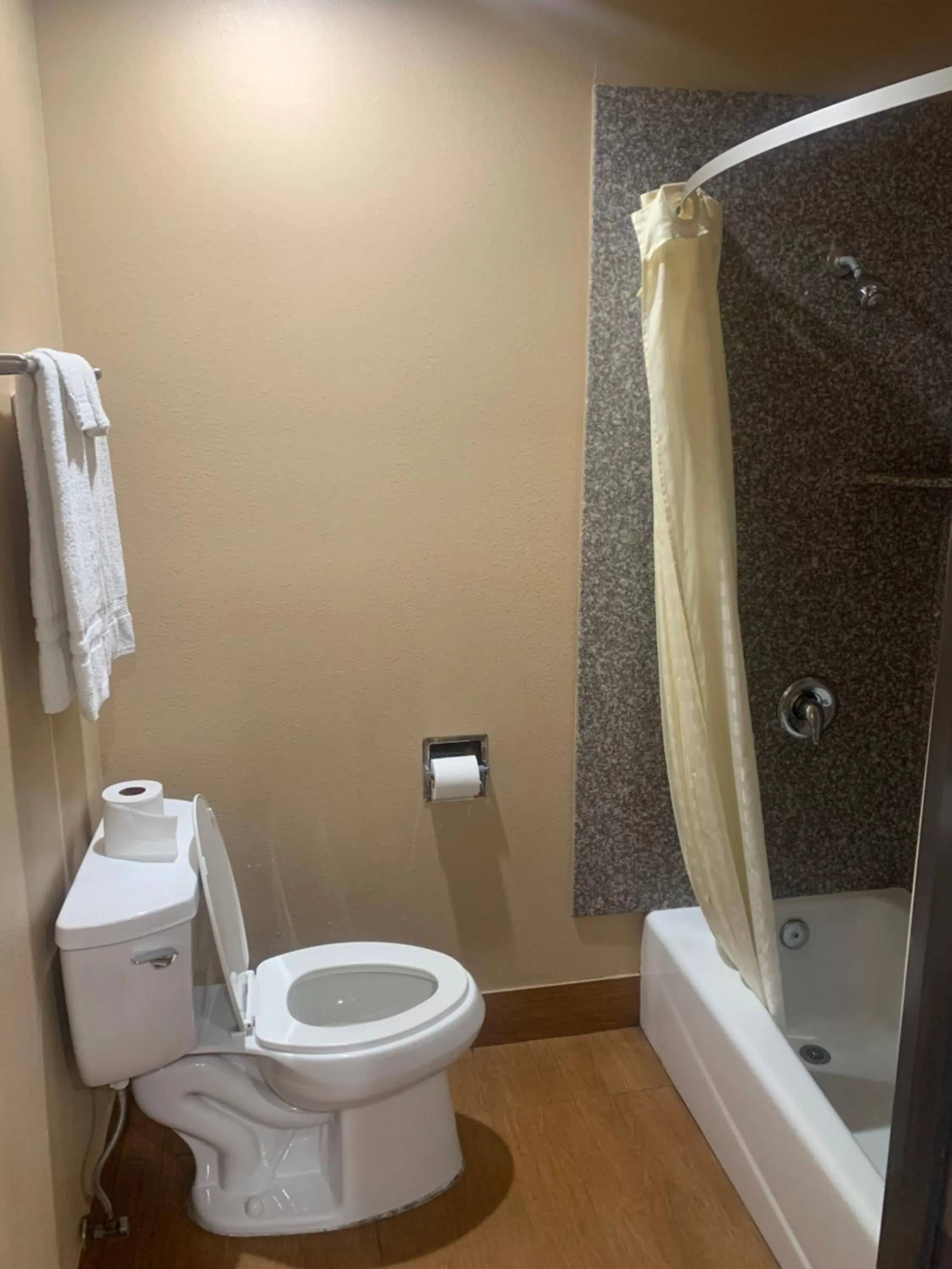 Bathroom in Stardust inn