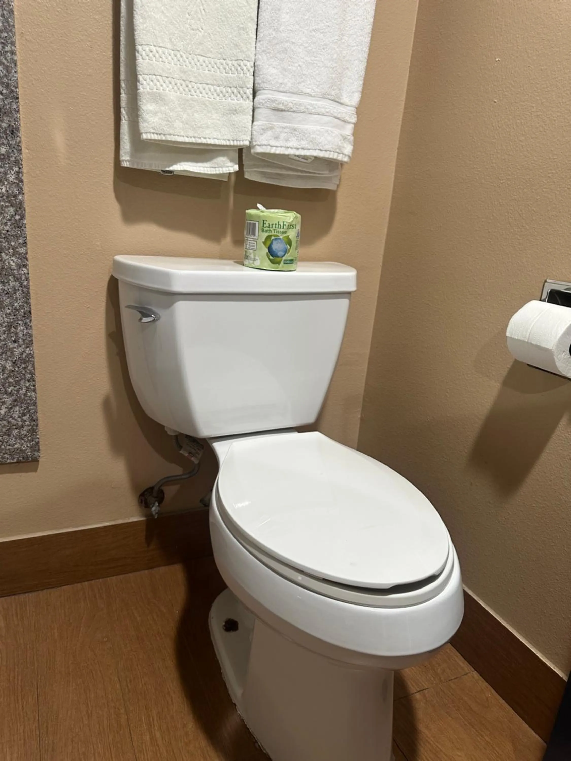 Toilet in Stardust inn