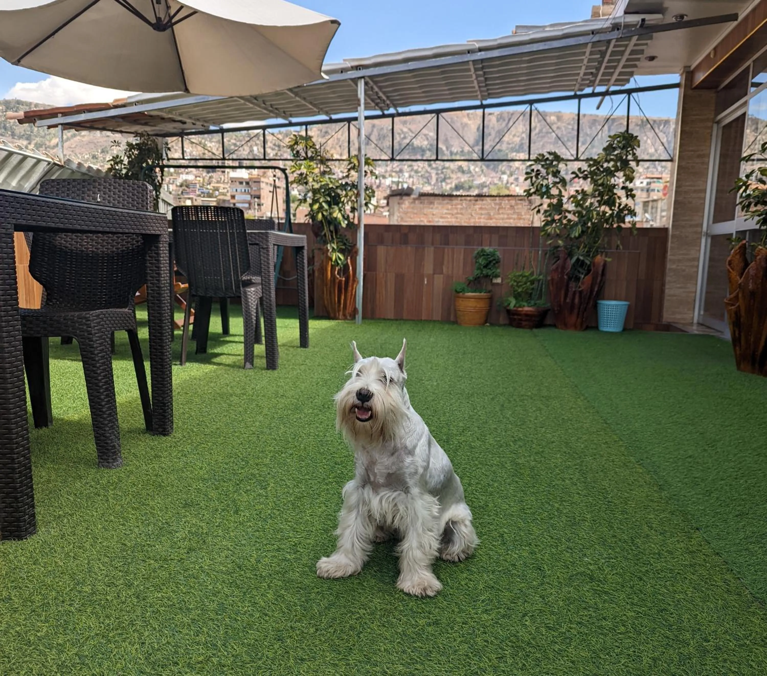 Pets in Sumaq Wari Hotel