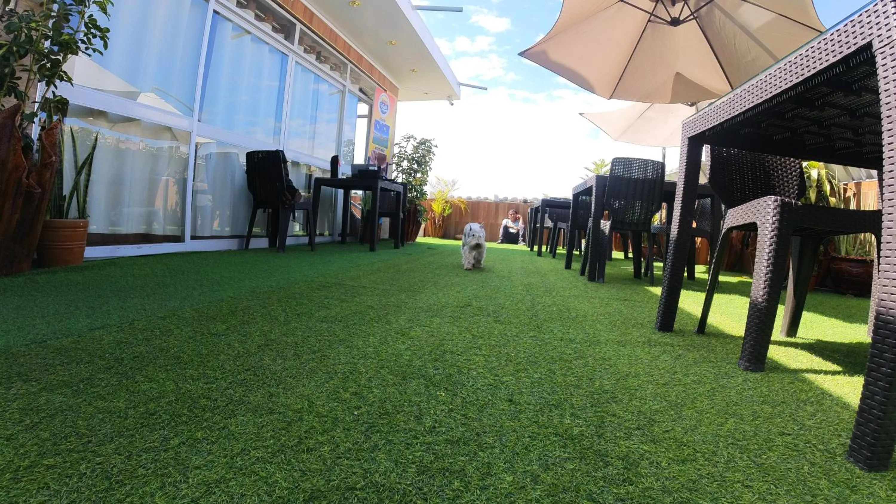 Garden in Sumaq Wari Hotel