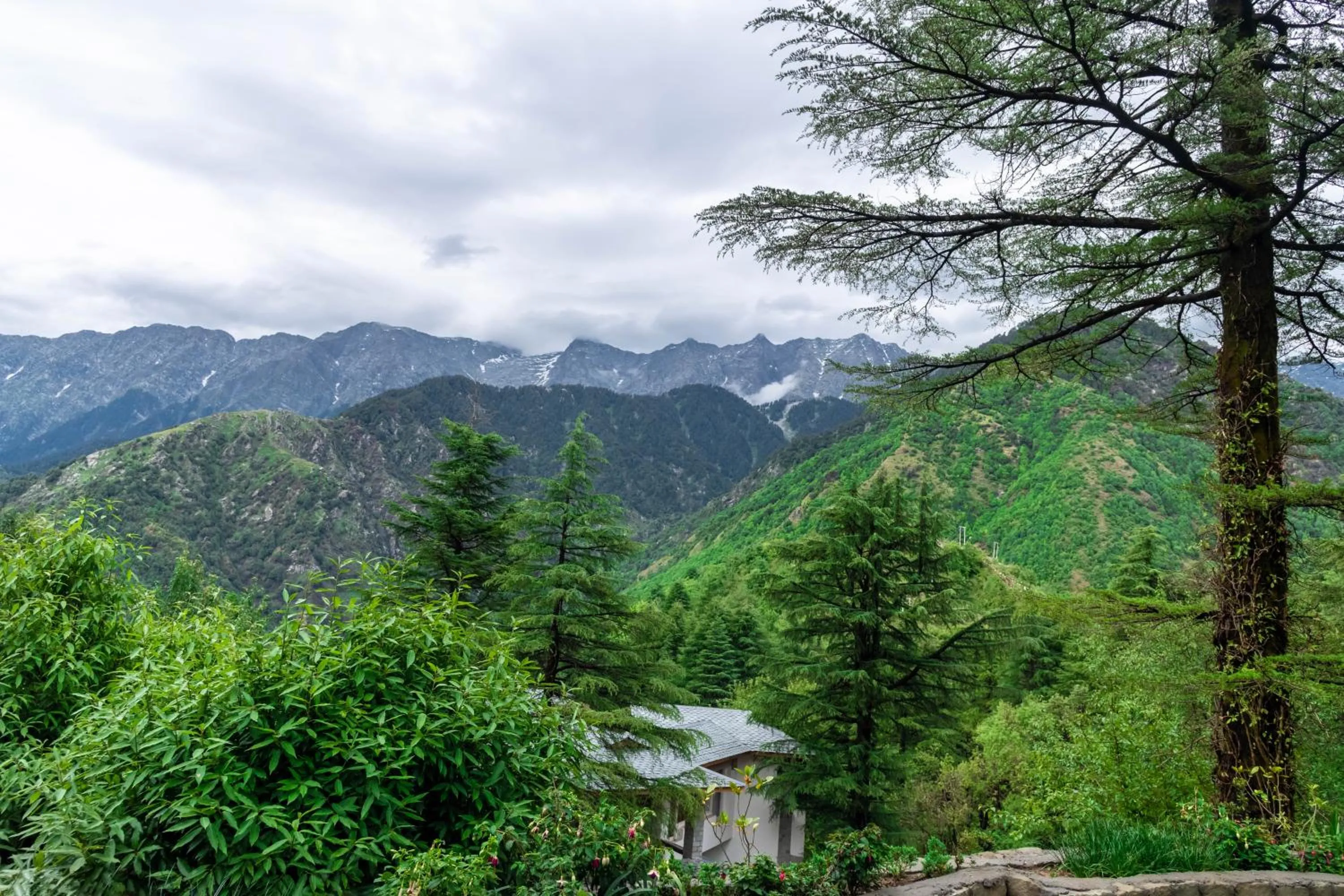 View (from property/room) in Hotel Eagles Nest