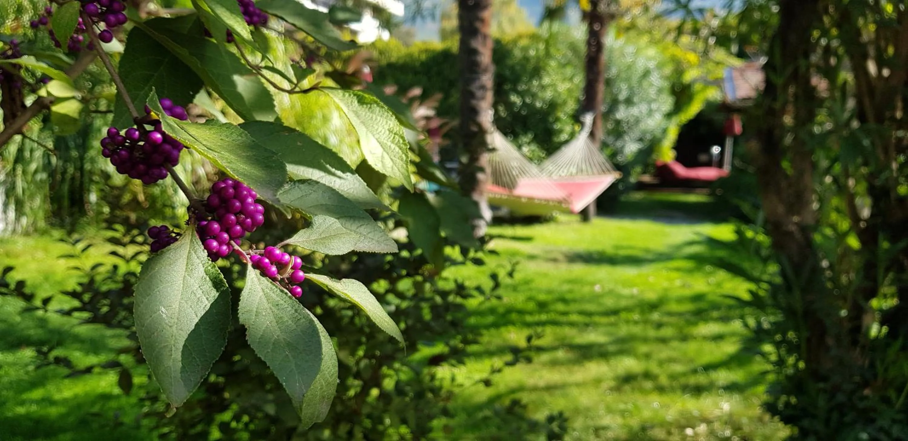 Swimming pool in Hotel Gartenresidence Zea Curtis