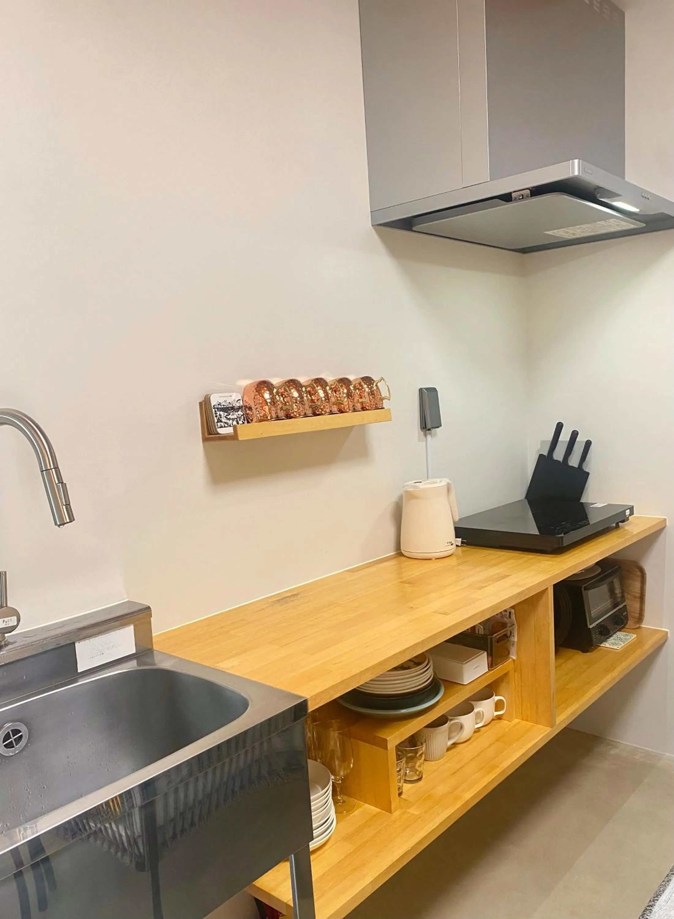 Kitchen or kitchenette in Hotel Little Swiss House