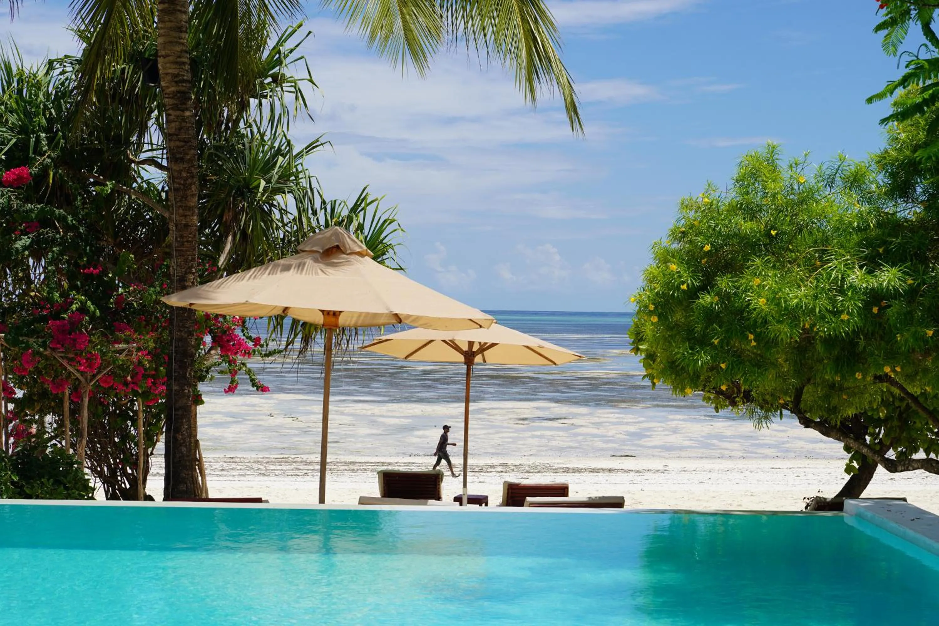 Beach in Alma Boutique Hotel