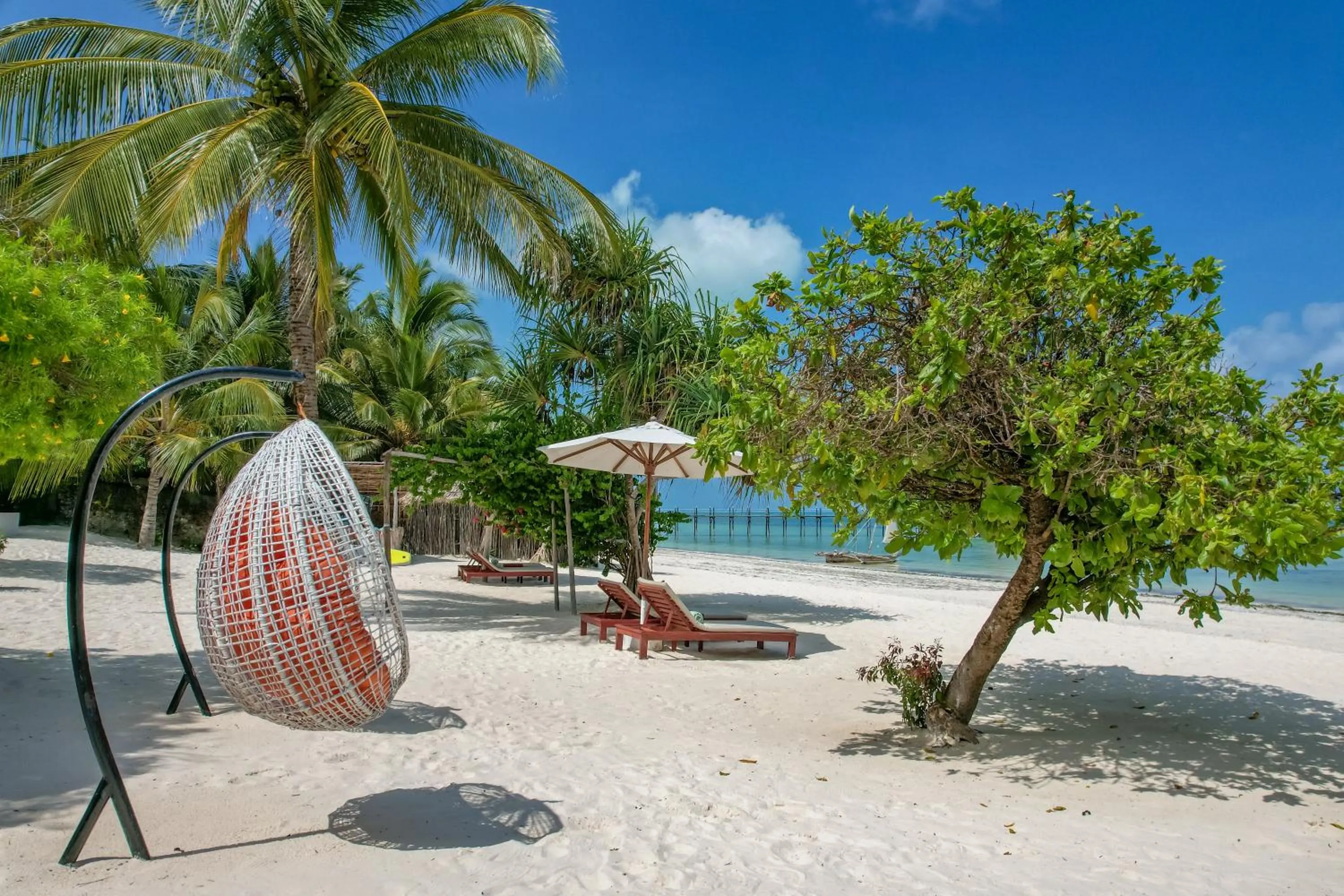 Beach in Alma Boutique Hotel