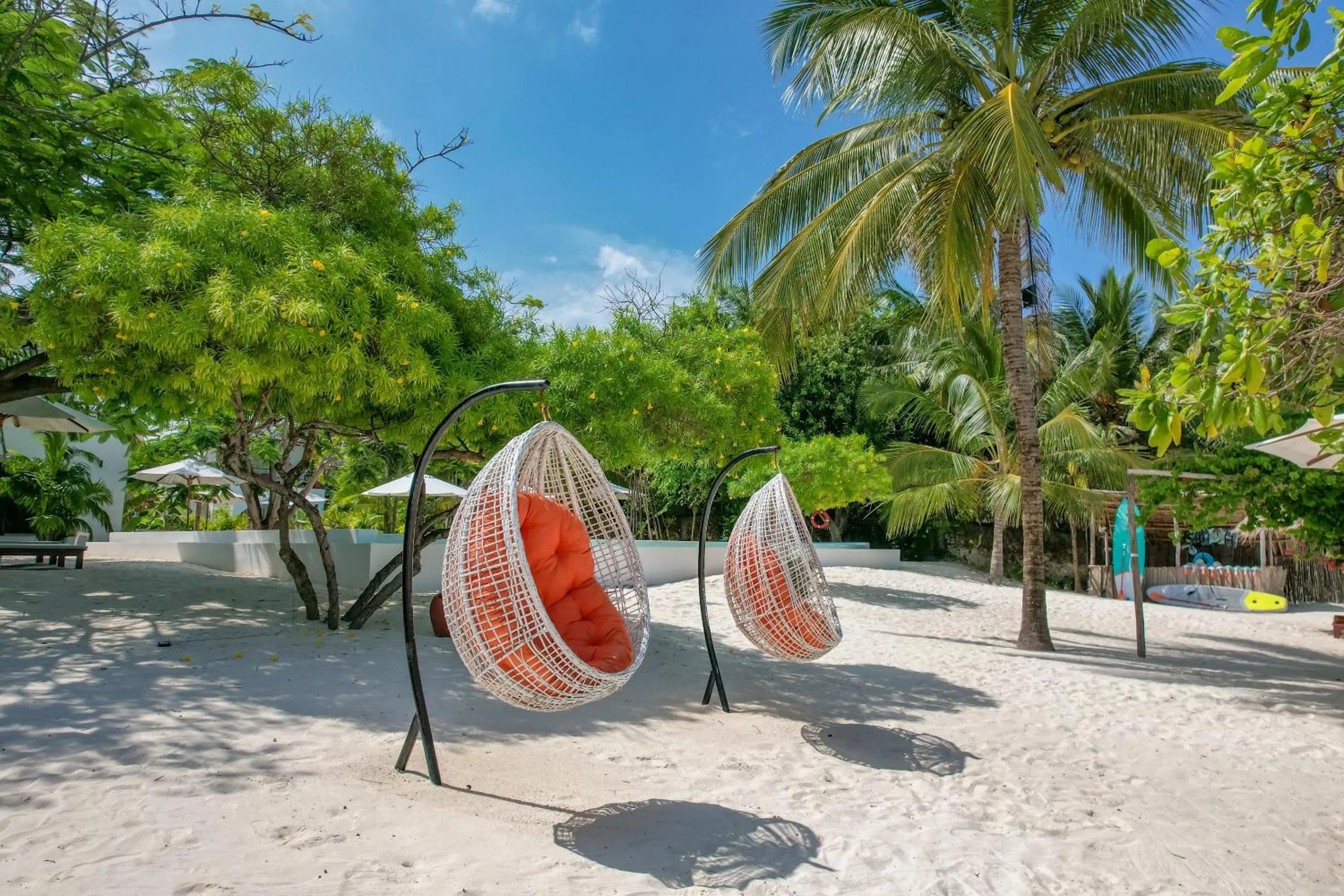 Beach in Alma Boutique Hotel