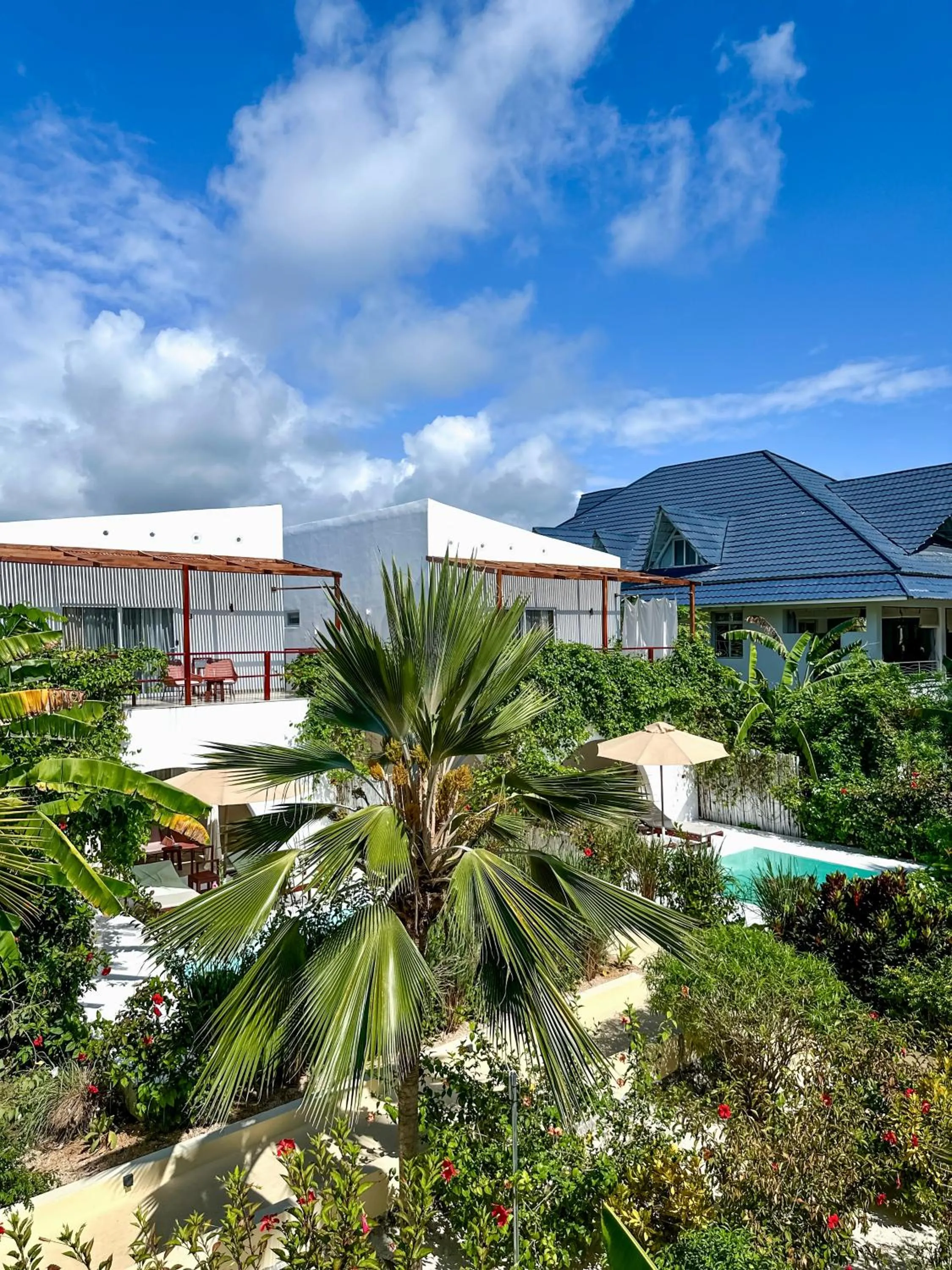 Property building in Alma Boutique Hotel