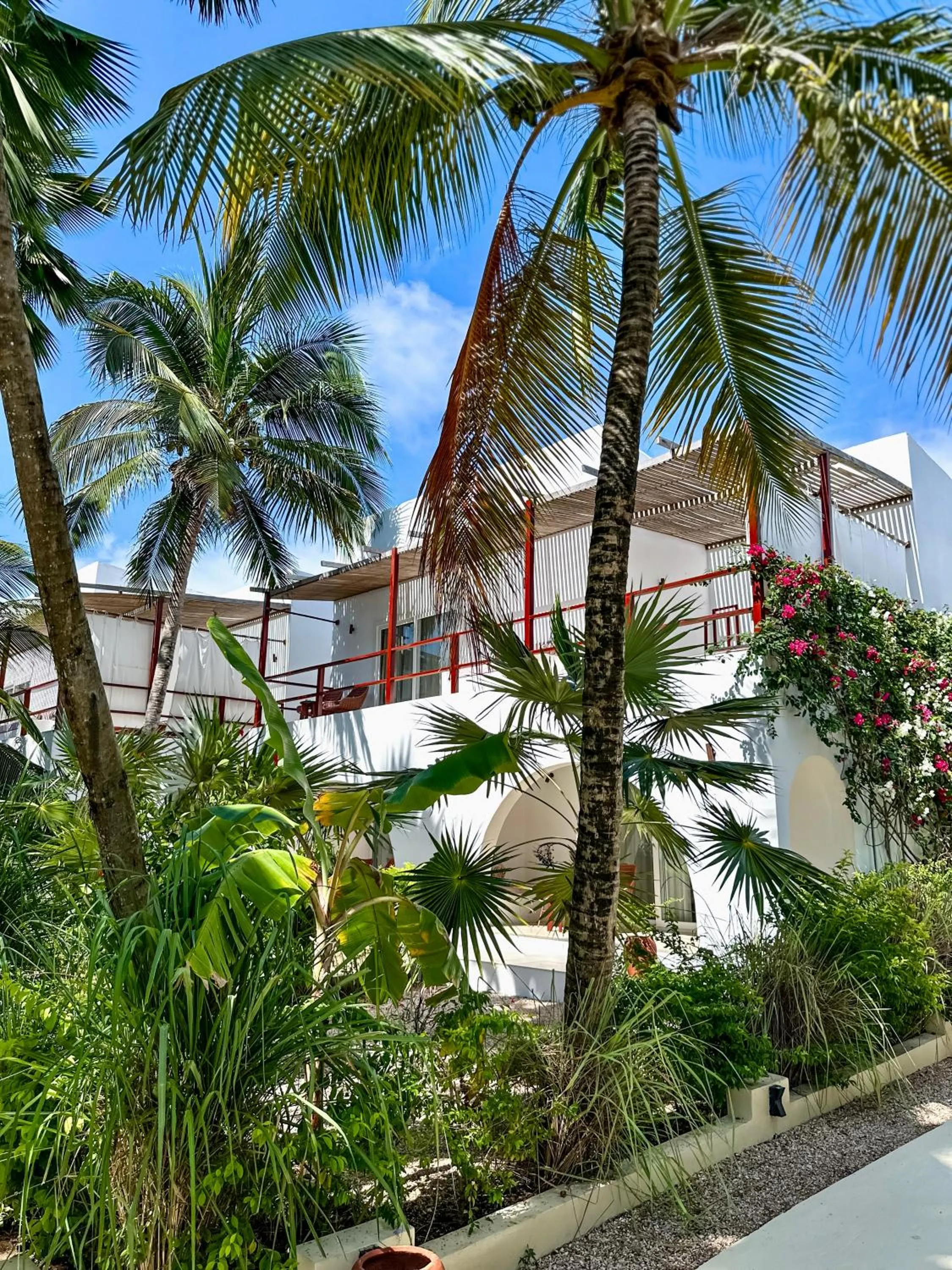 Property building in Alma Boutique Hotel