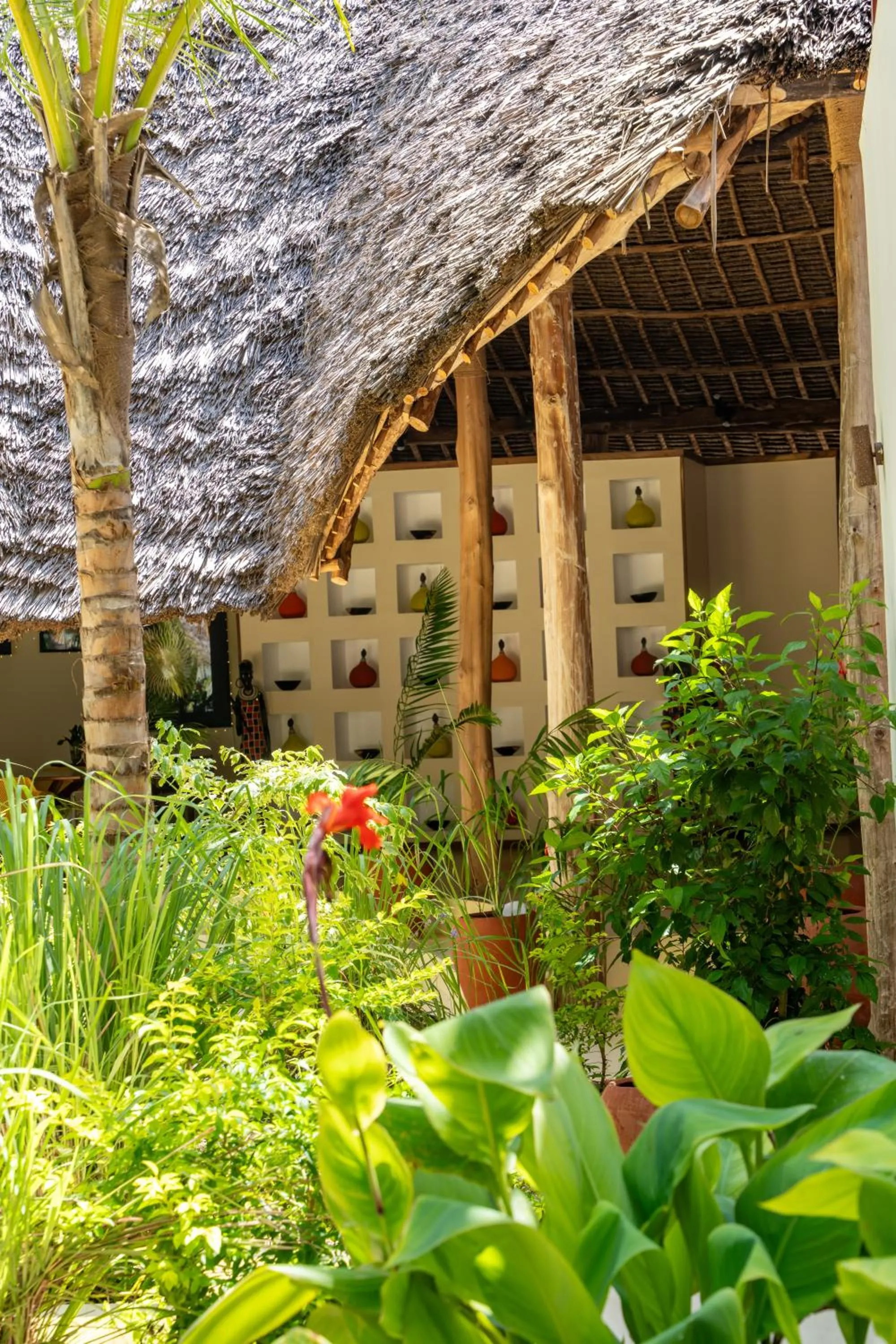 Restaurant/places to eat in Alma Boutique Hotel