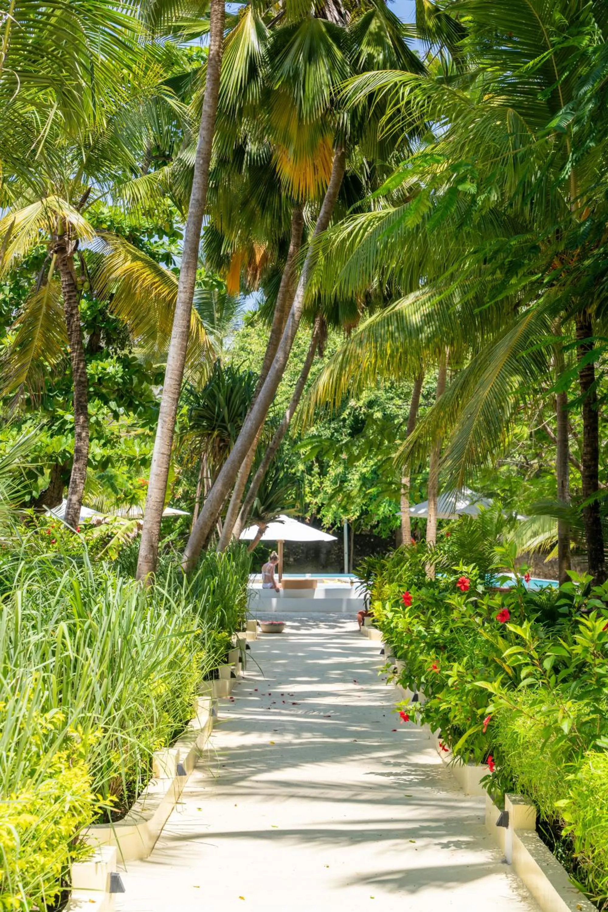 Garden in Alma Boutique Hotel