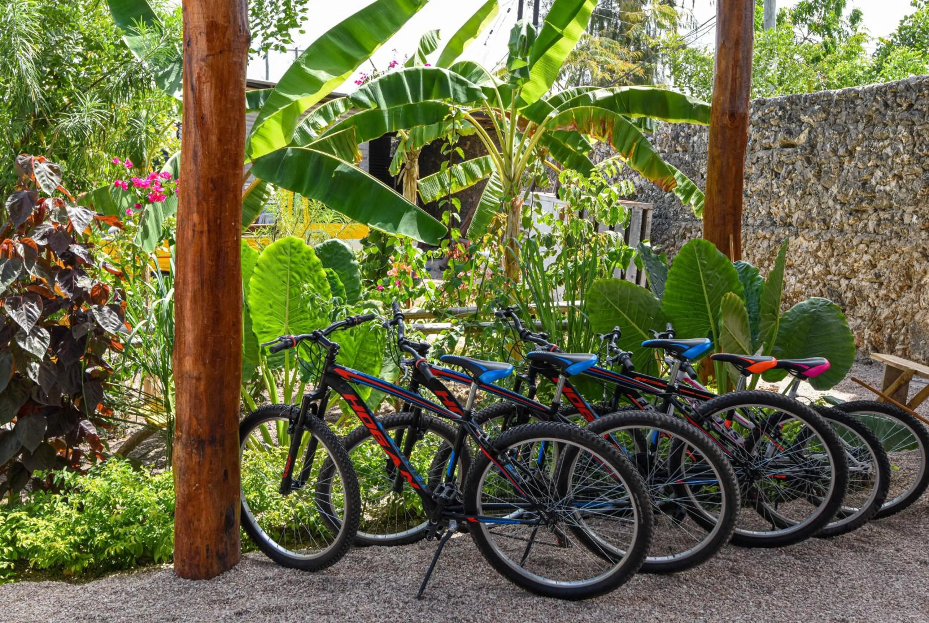 Cycling in Alma Boutique Hotel