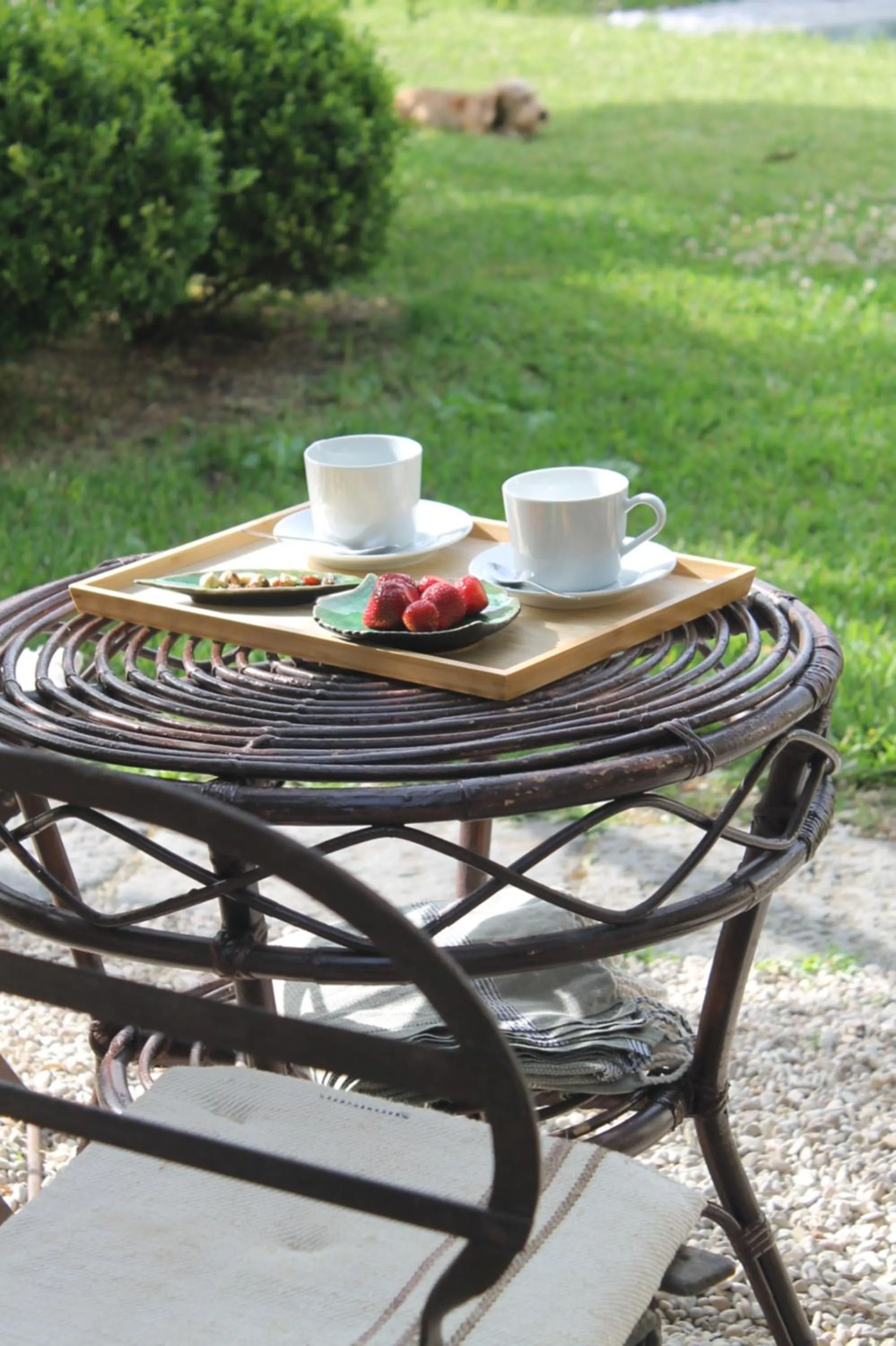 Garden in Clori Gaeta