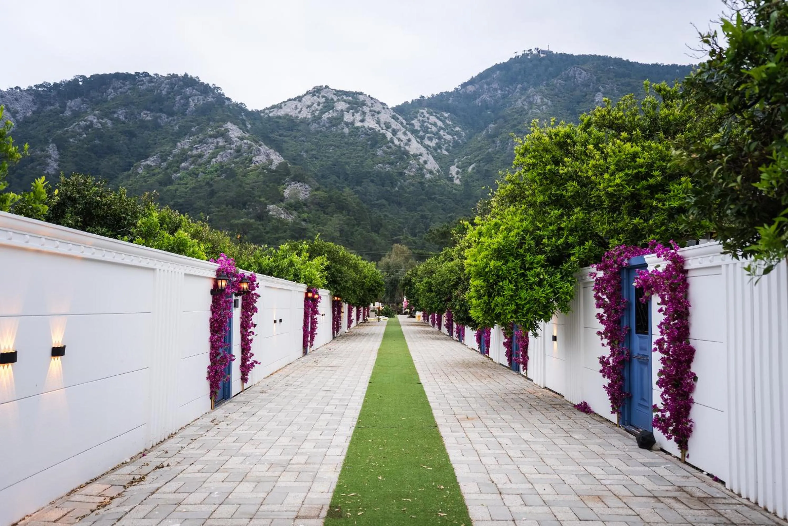 Garden in Collesium Garden