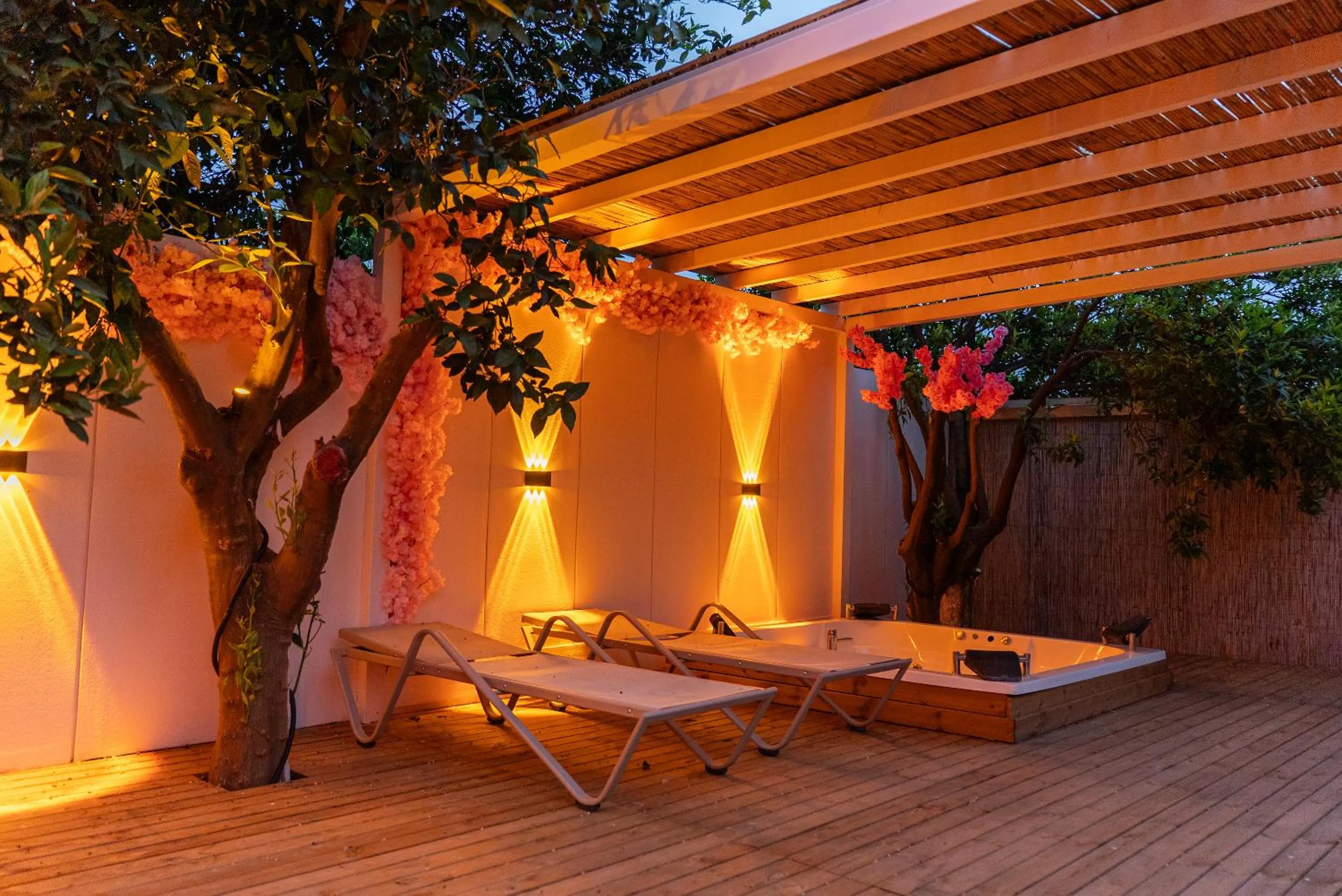 Garden in Collesium Garden