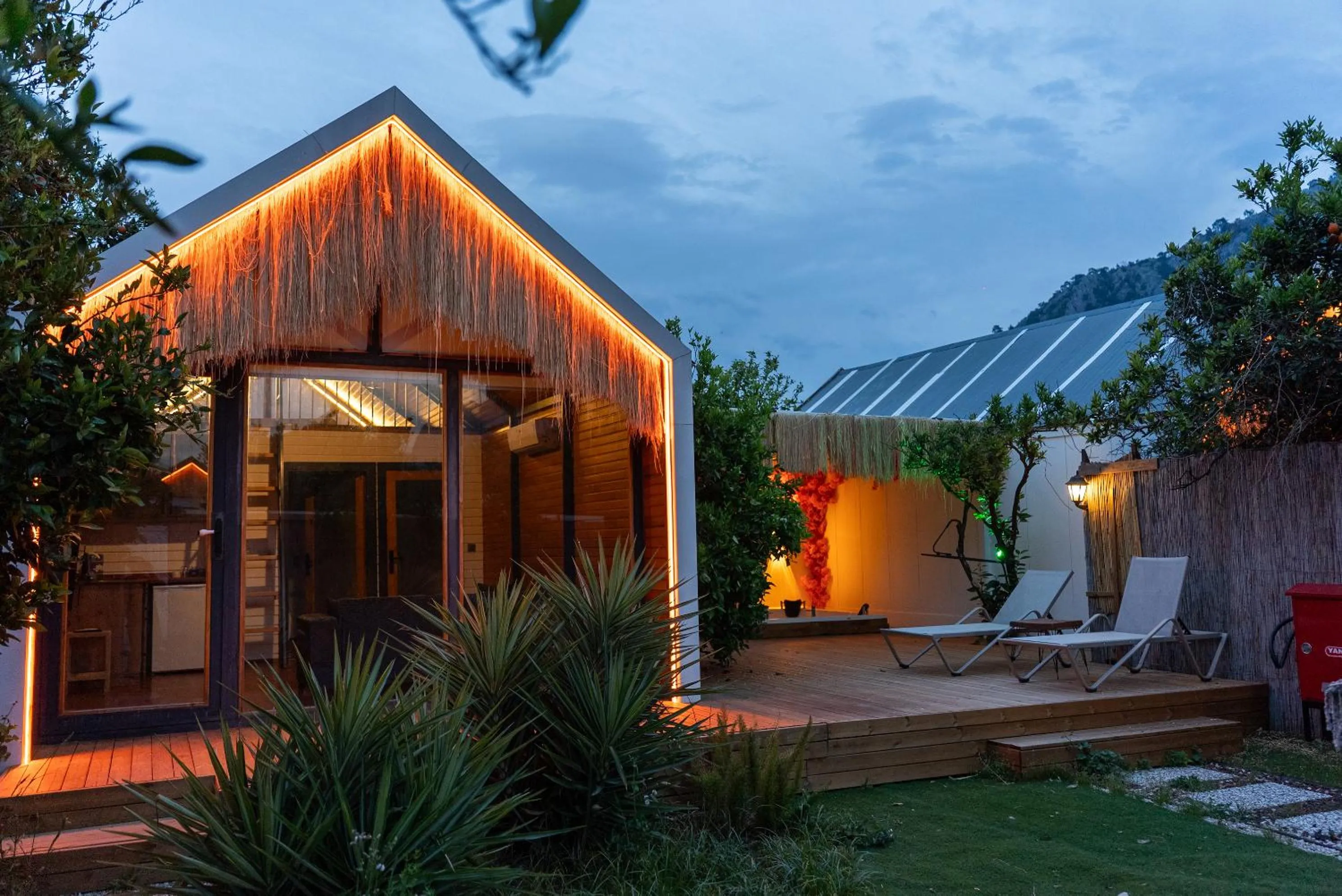 Garden in Collesium Garden