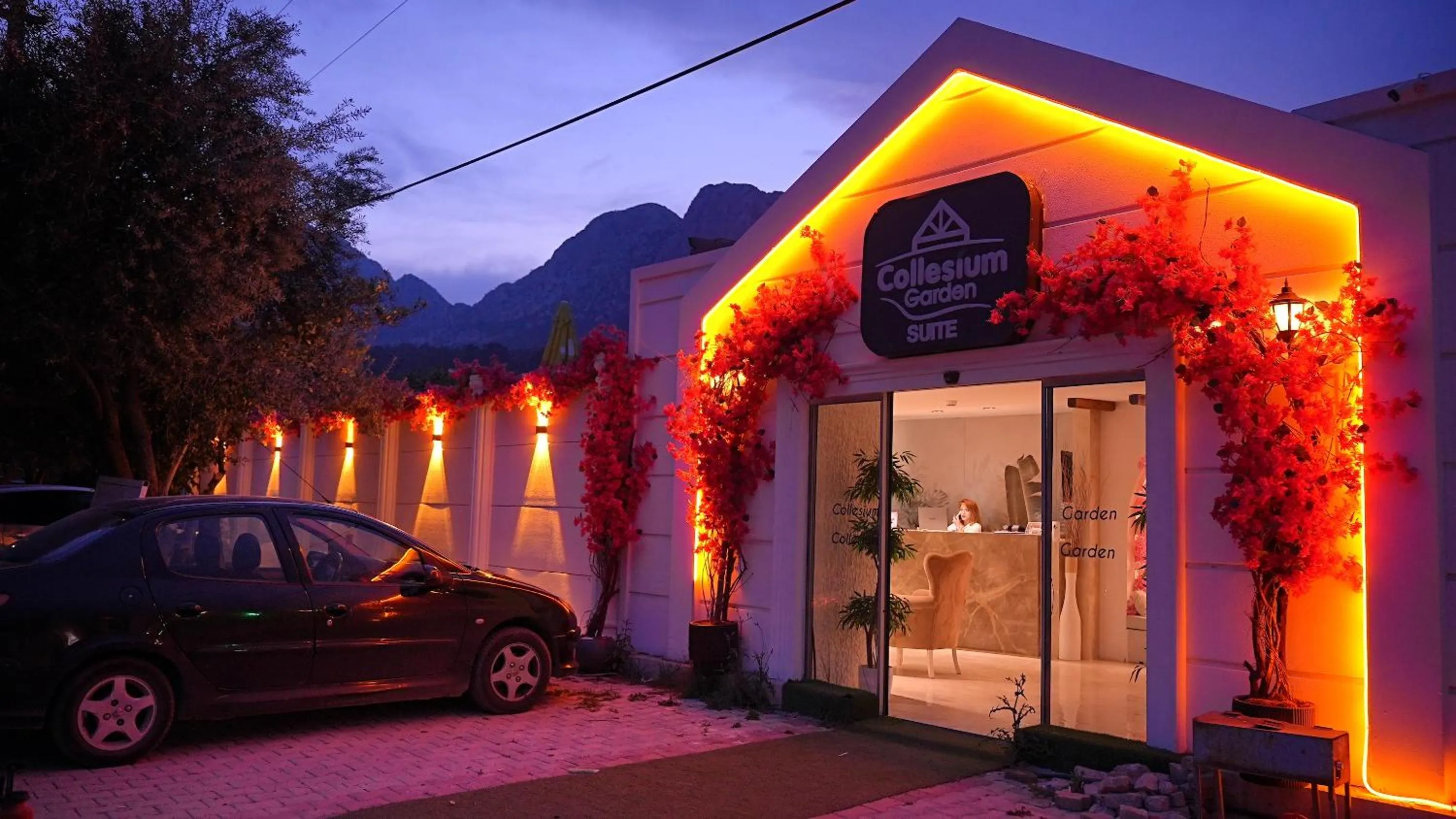 Property building in Collesium Garden