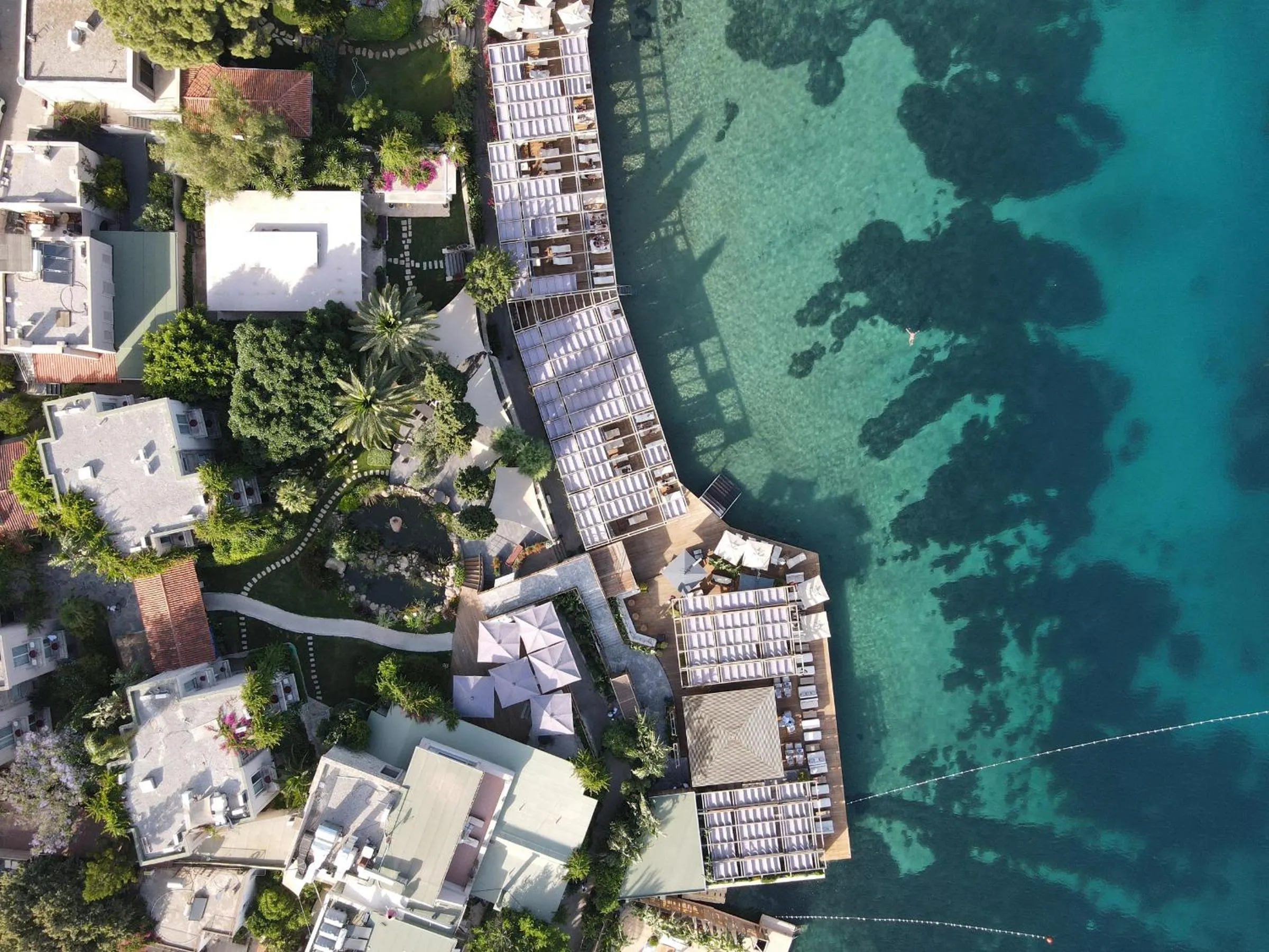 Property building in No81 Hotel