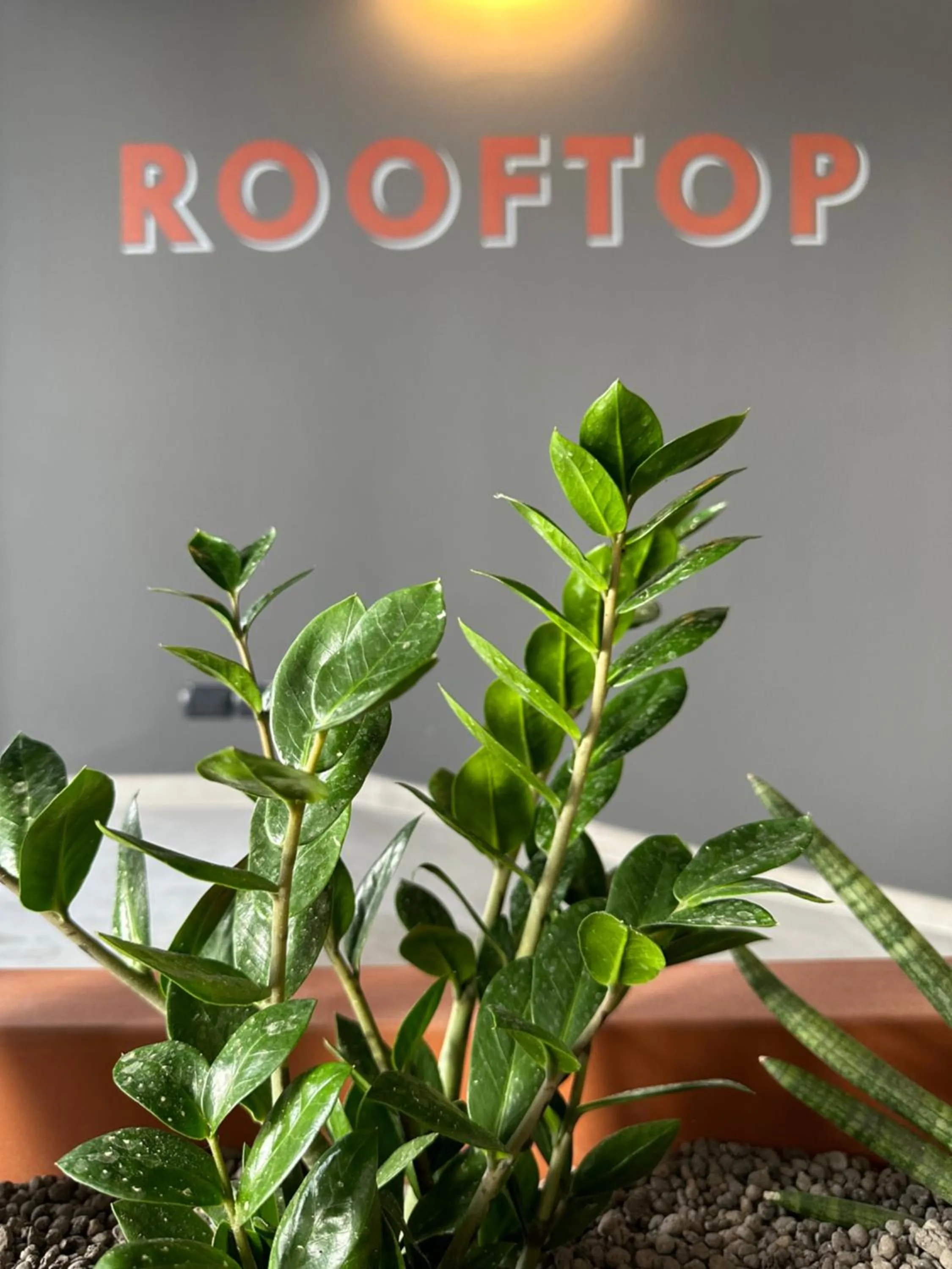 Other in Residence 9 Line