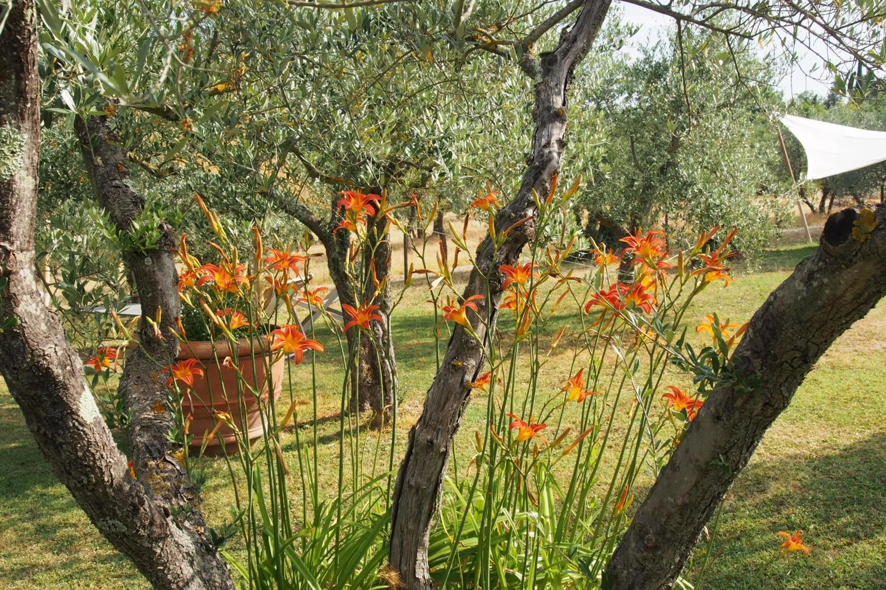 I Parigi Corbinelli Residenze