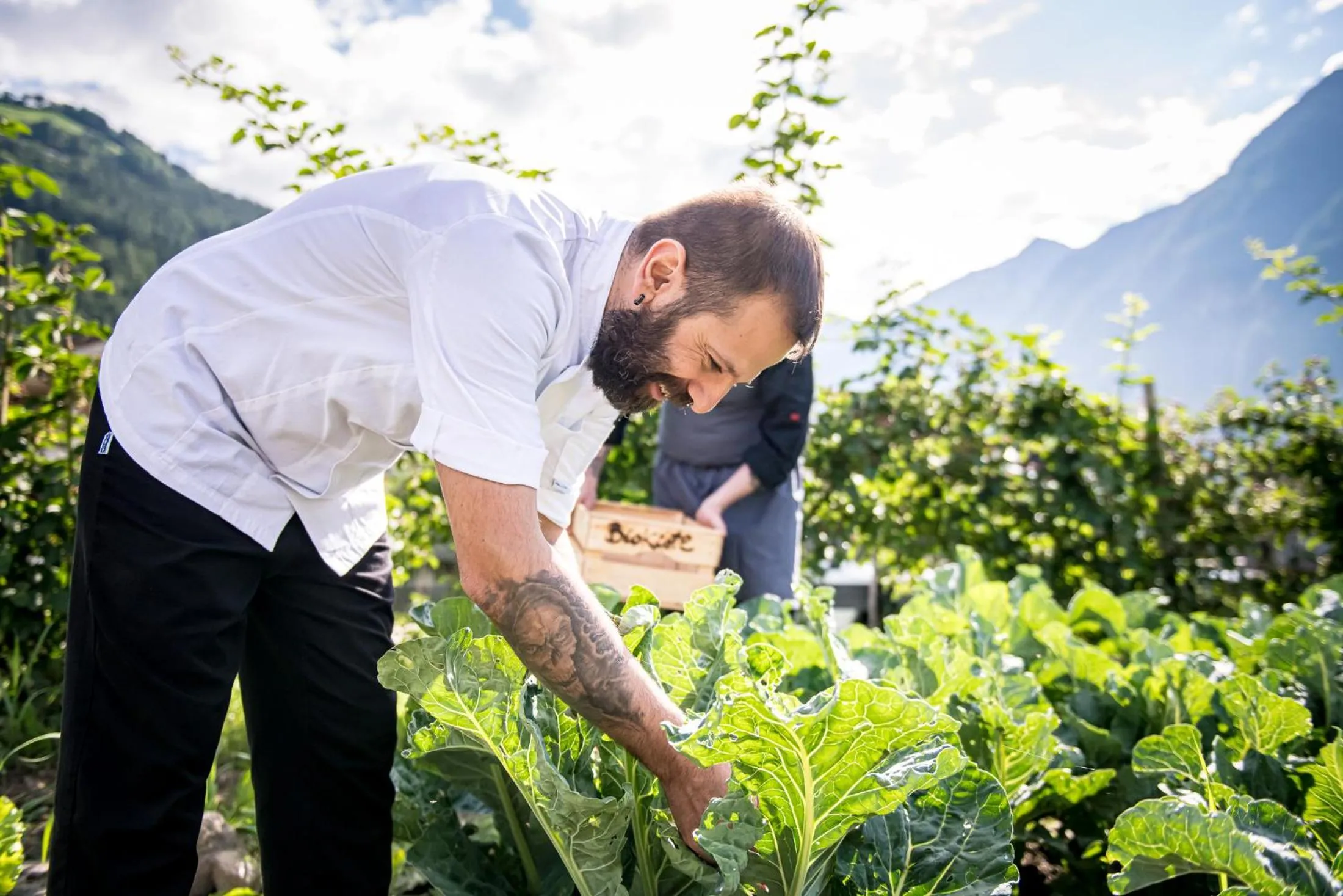 Alphotel Stocker Alpine Wellnesshotel