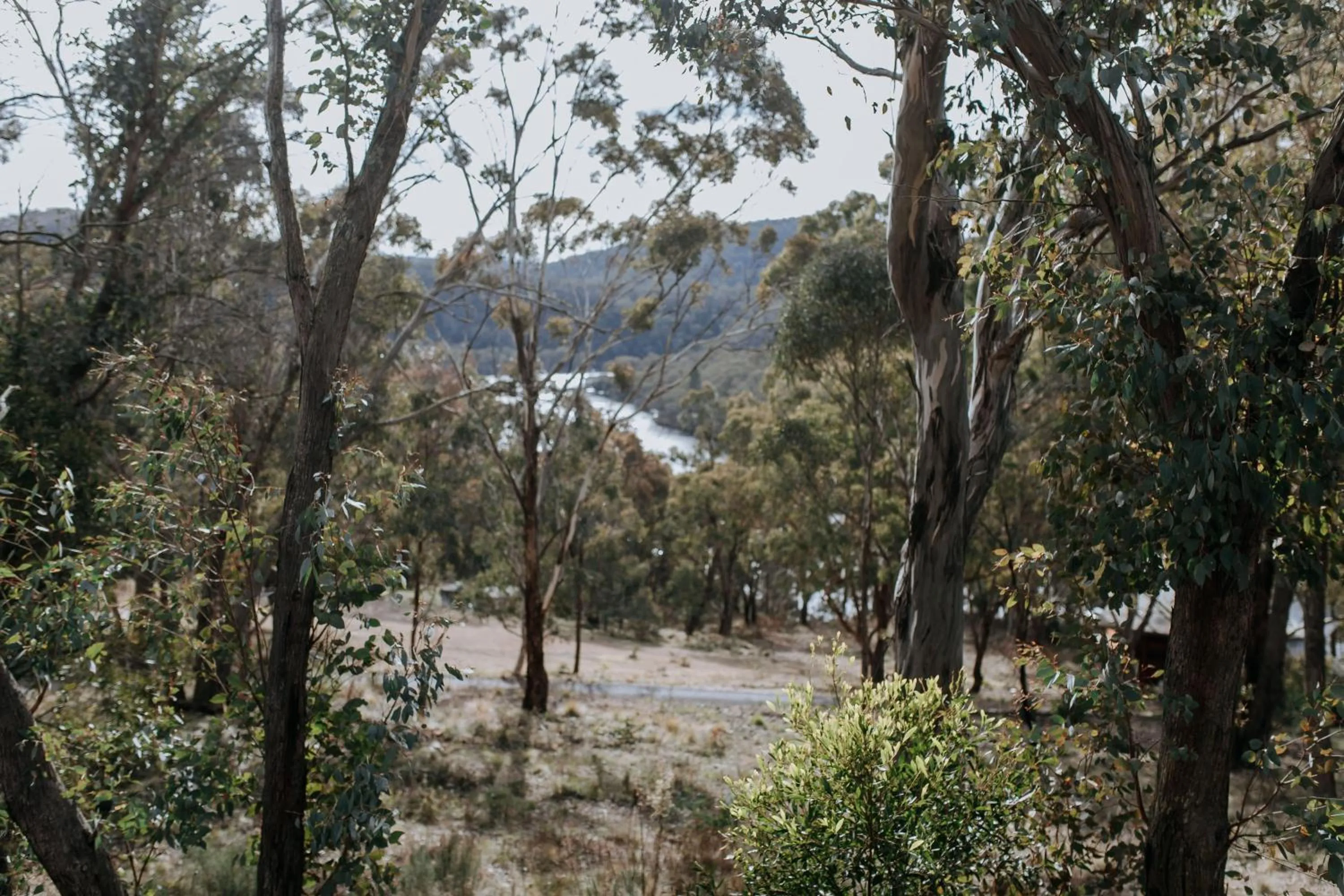 River view in Eagle View Escape