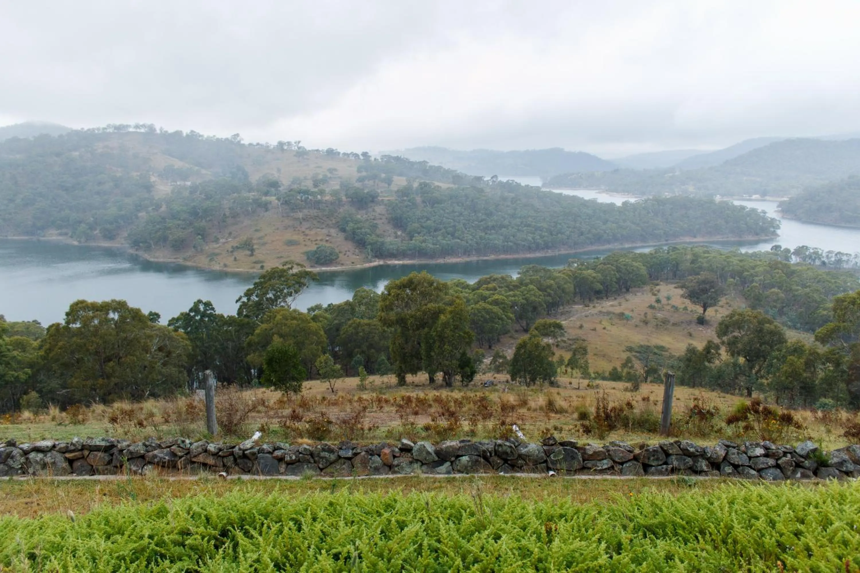 Garden in Eagle View Escape