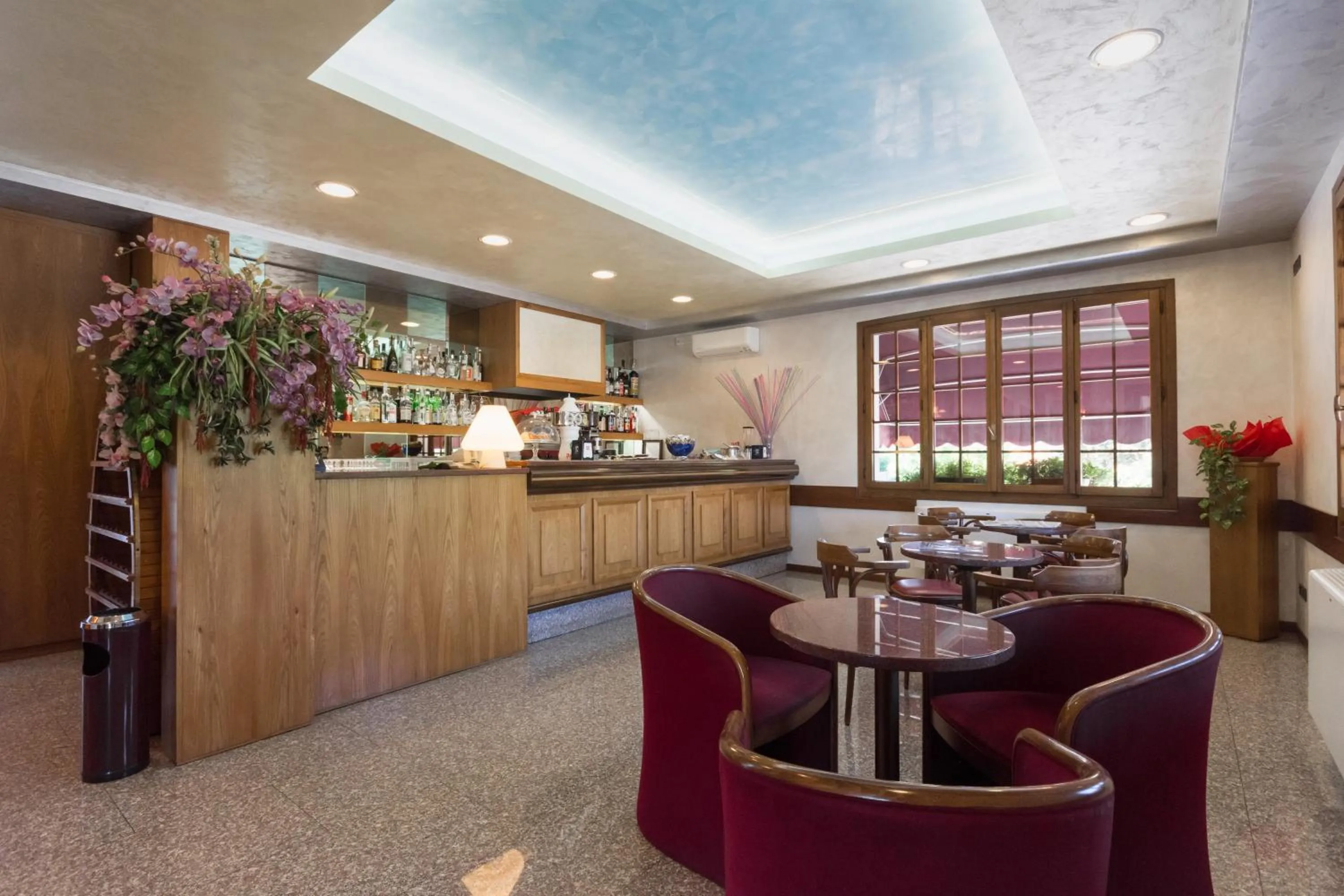 Lounge or bar in Park Hotel Ristorante Ca' Bianca