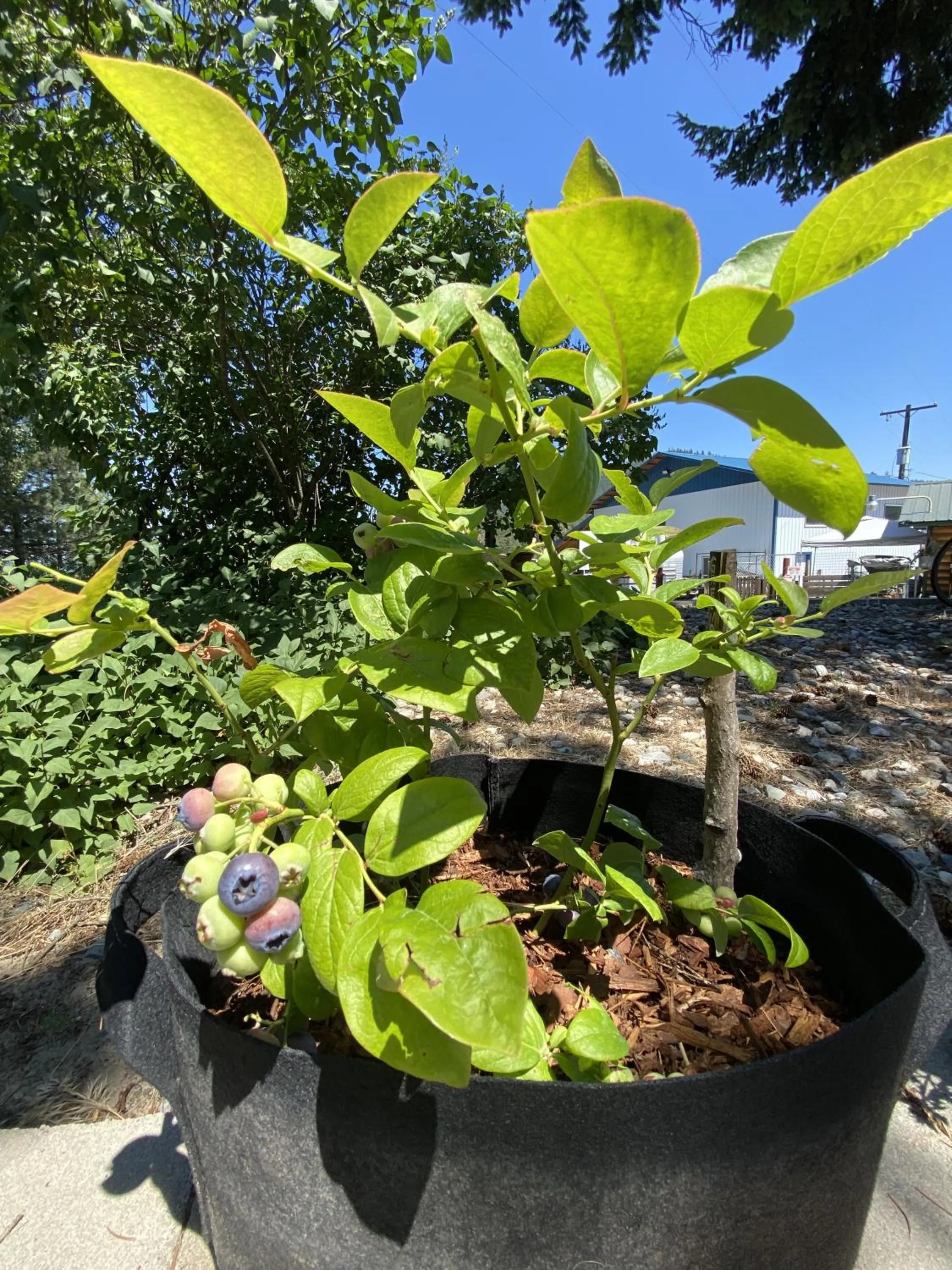 Columbia Point Resort