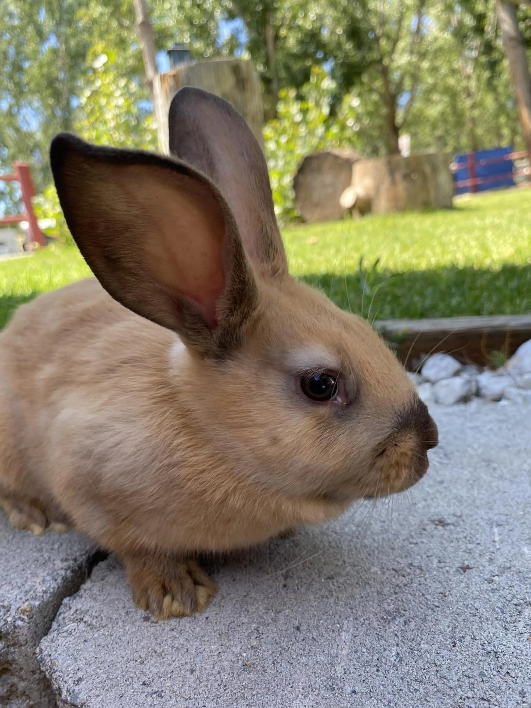 Columbia Point Resort