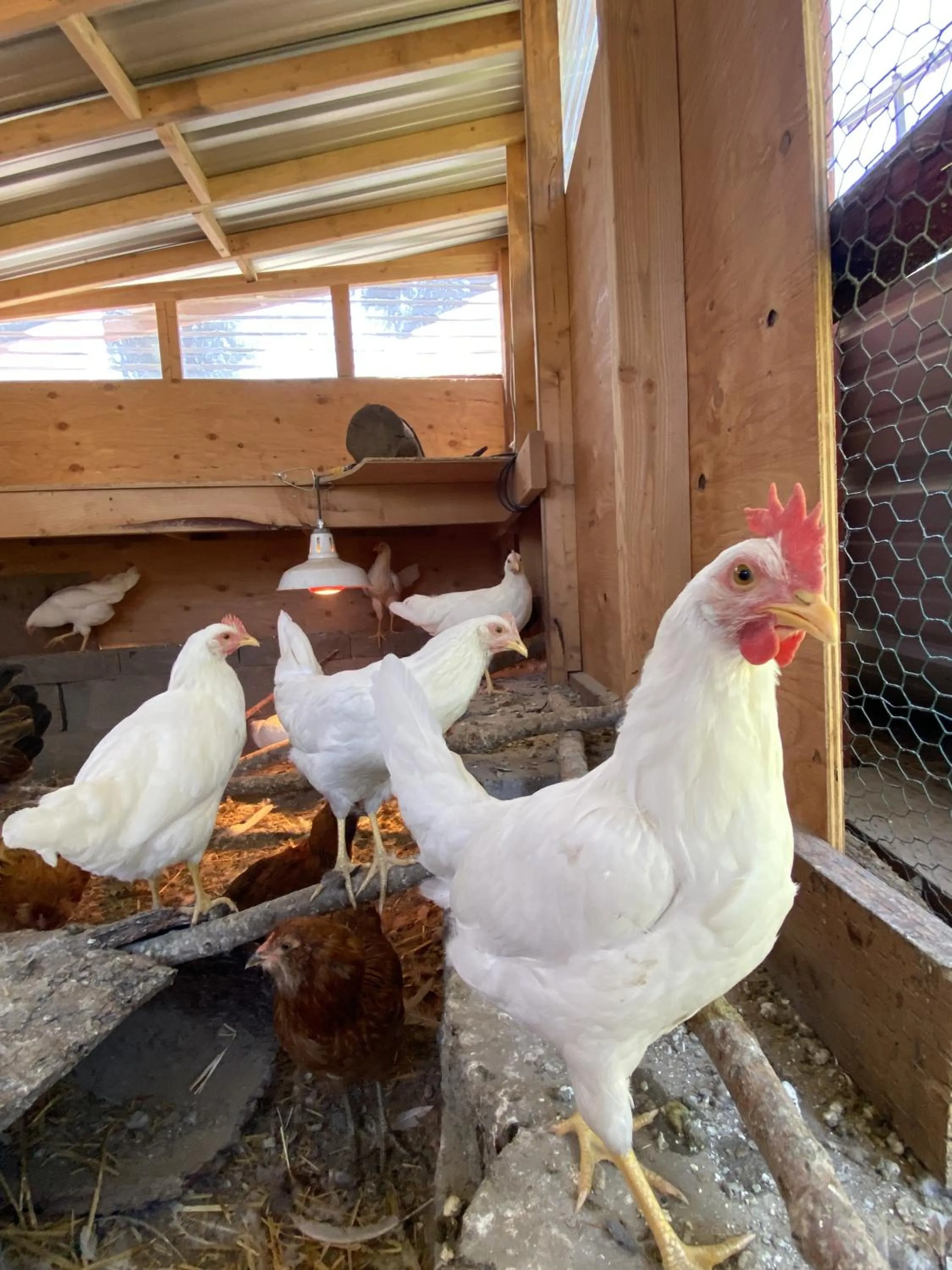 Garden in Columbia Point Resort