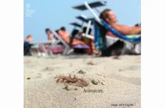 Balcony/Terrace in Da Santo Hotel Ristorante Pizzeria