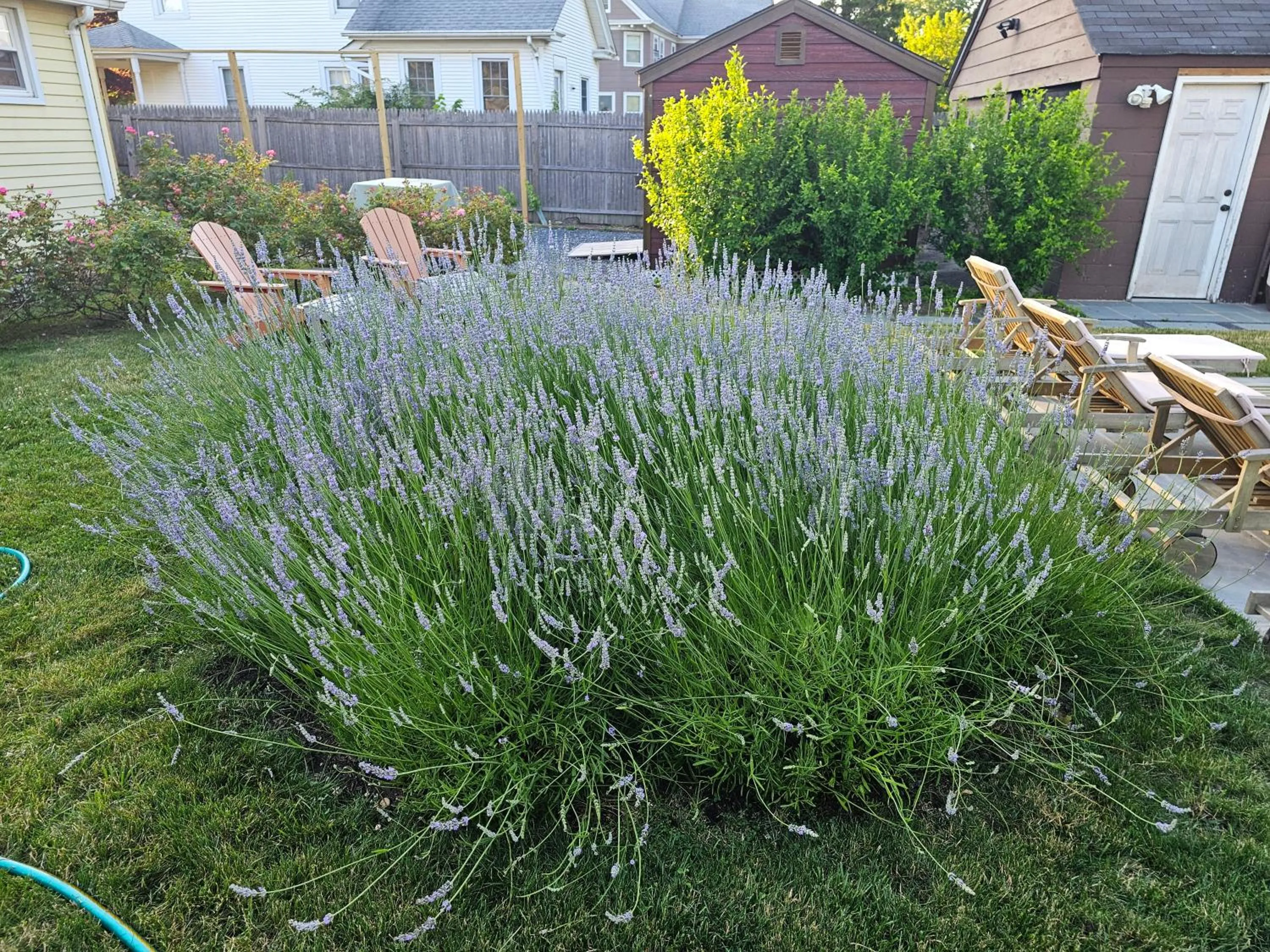 Garden in Come As You Are Inn LLC