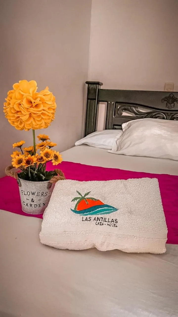 Double Room in Casa Hotel Las Antillas