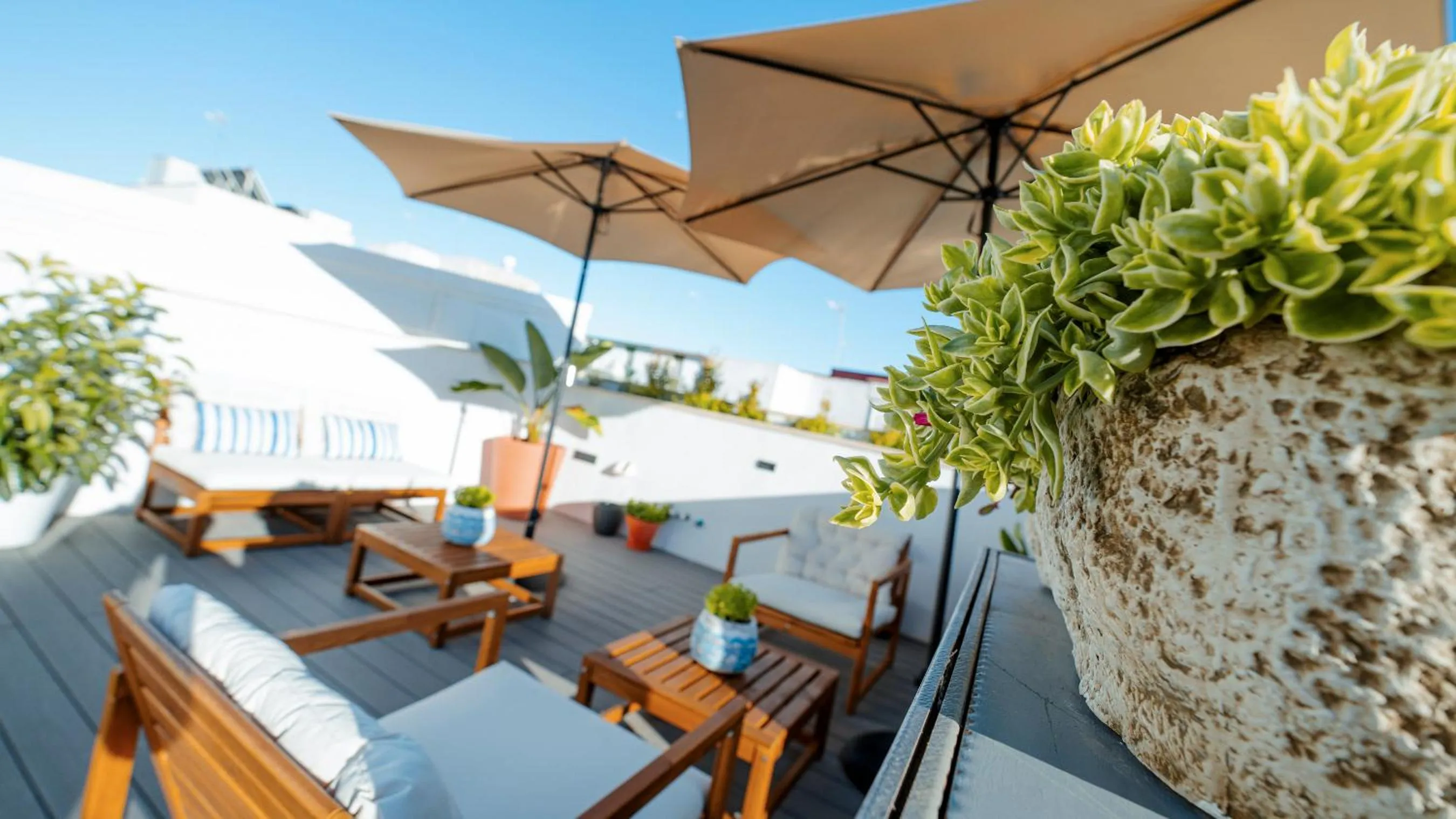 Solarium in Aparthotel Luz de Gades - Suites Spa Gym - Adults Only