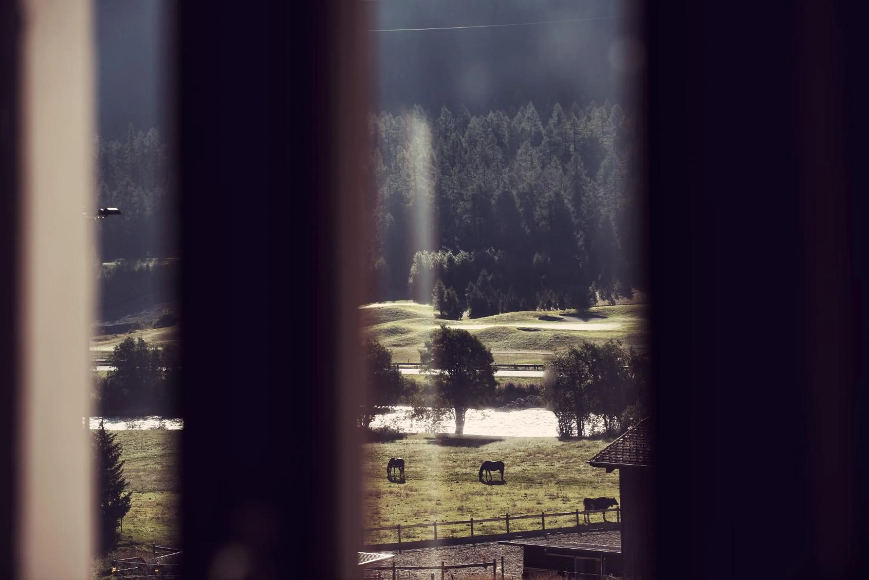 Natural landscape in Chesa Stuva Colani