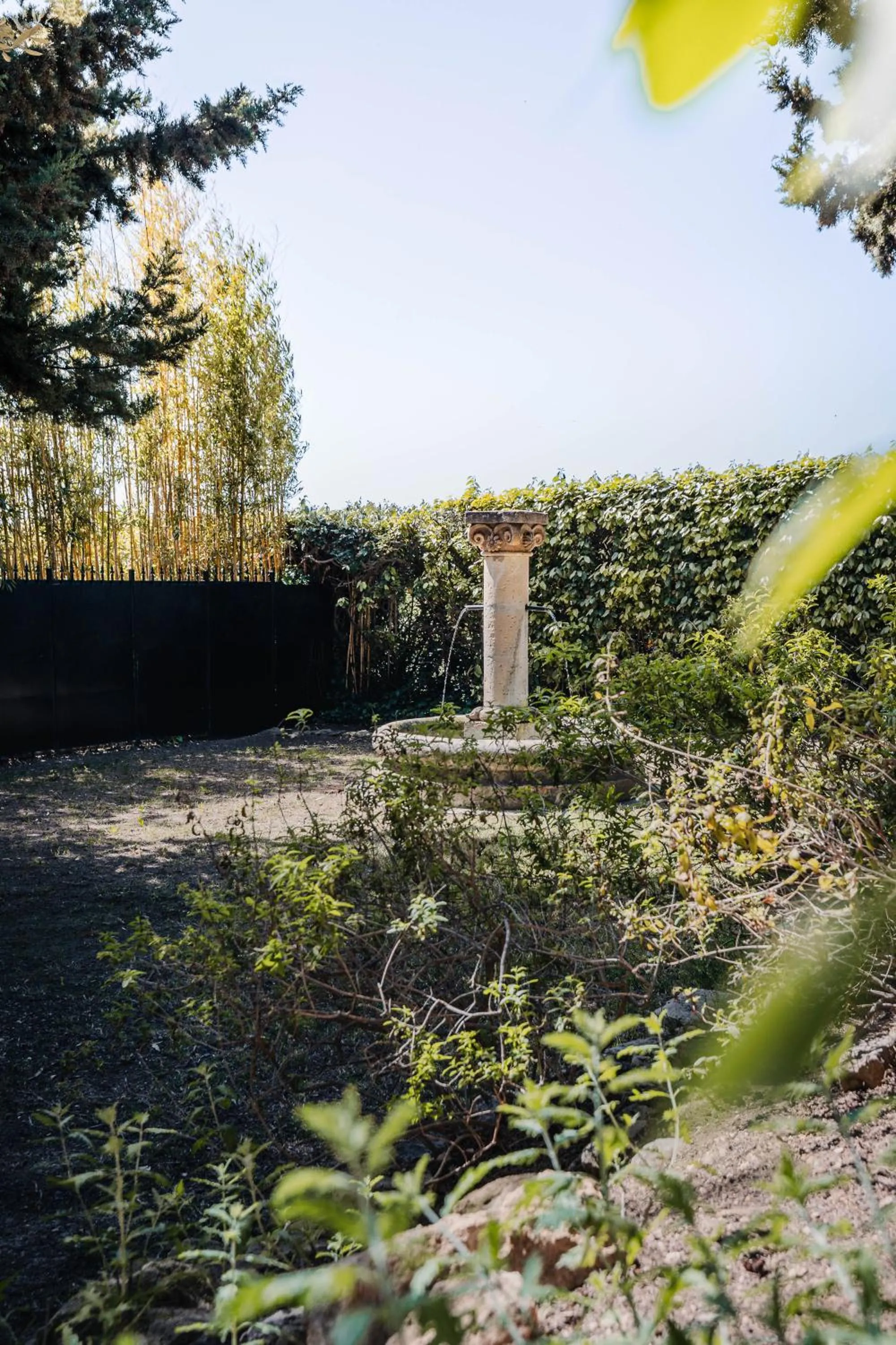 Natural landscape in Bdesign & Spa