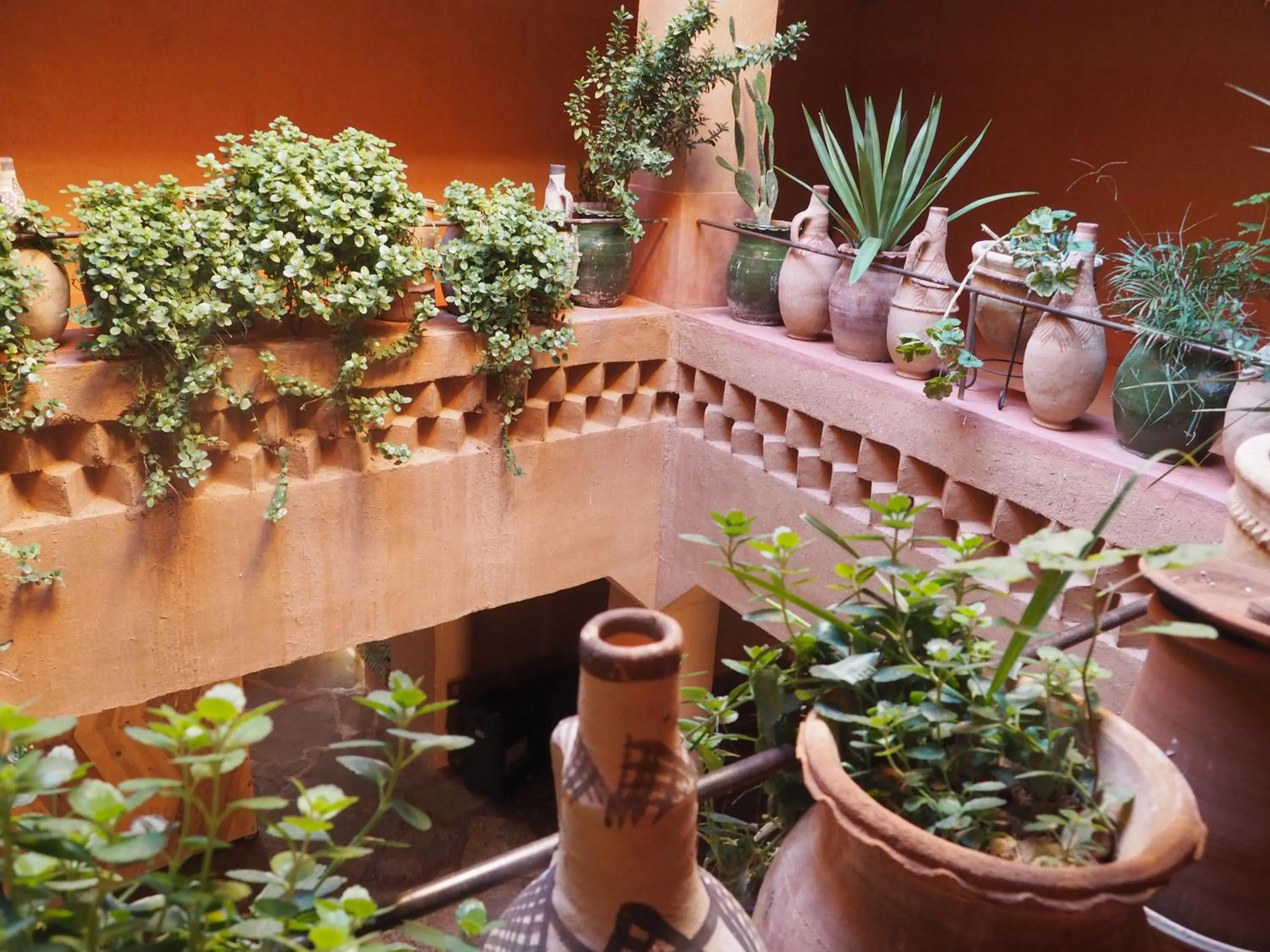 Property building in Casbah d'hôte La Jeanne Tourisme Ecologique