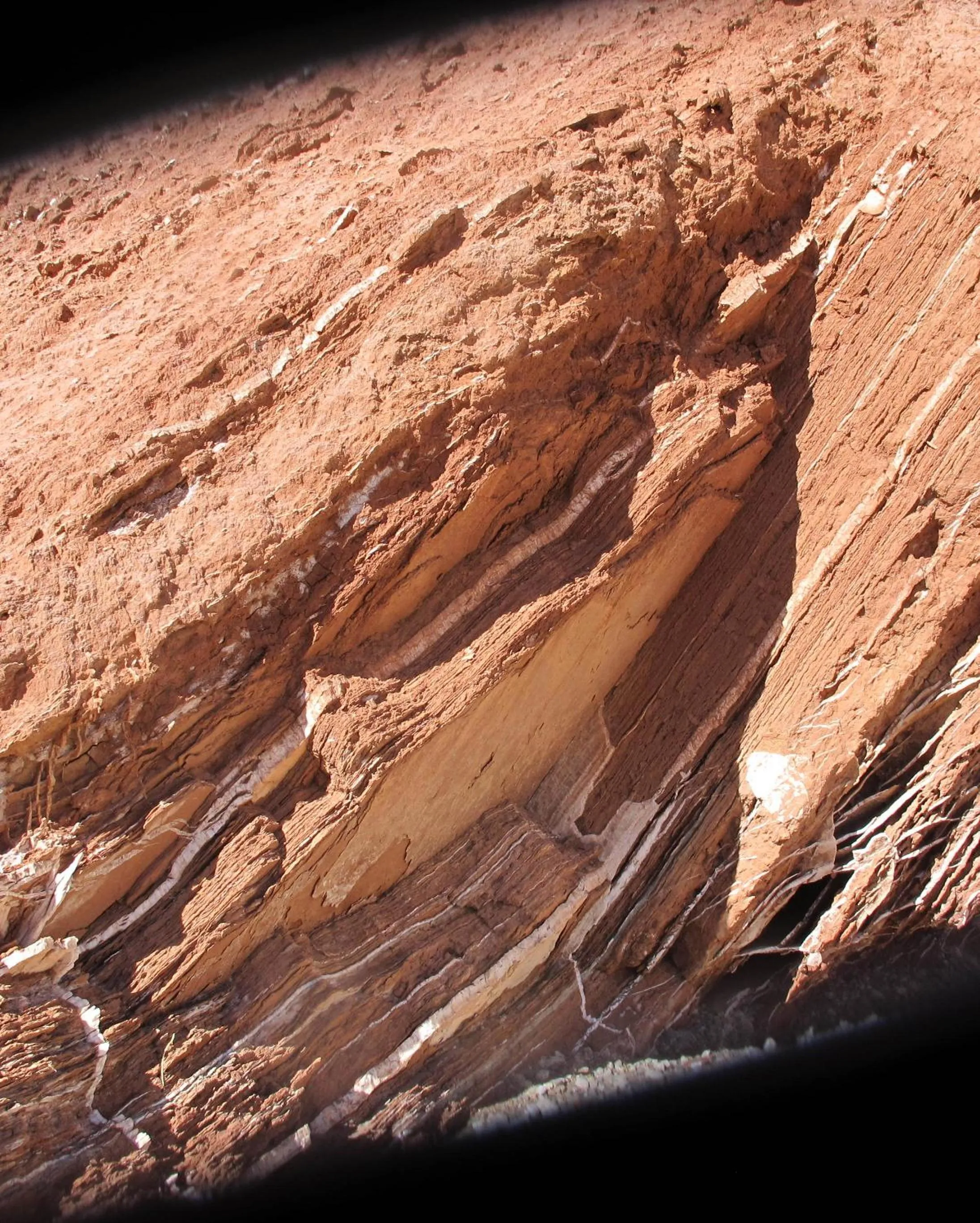 Natural landscape in Casbah d'hôte La Jeanne Tourisme Ecologique