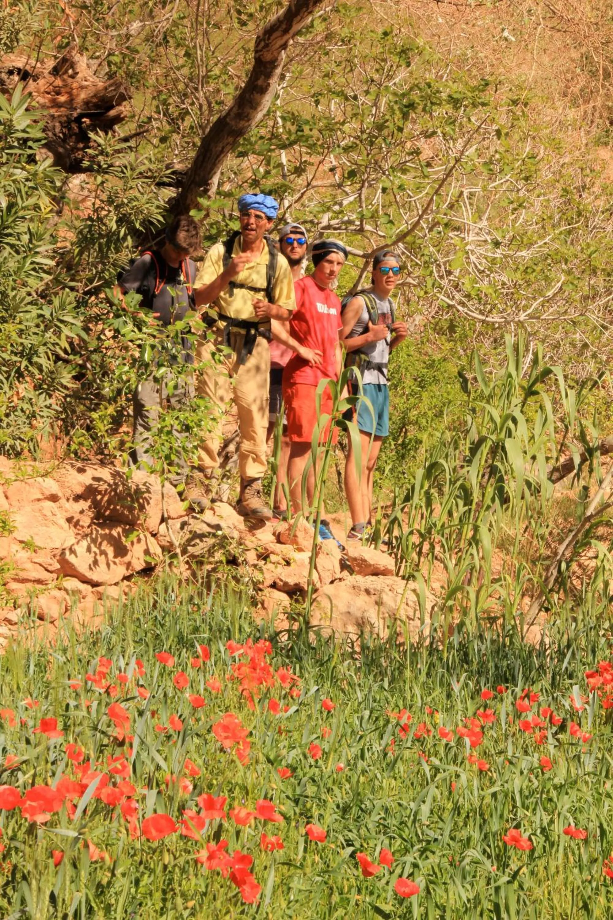 Natural landscape in Casbah d'hôte La Jeanne Tourisme Ecologique