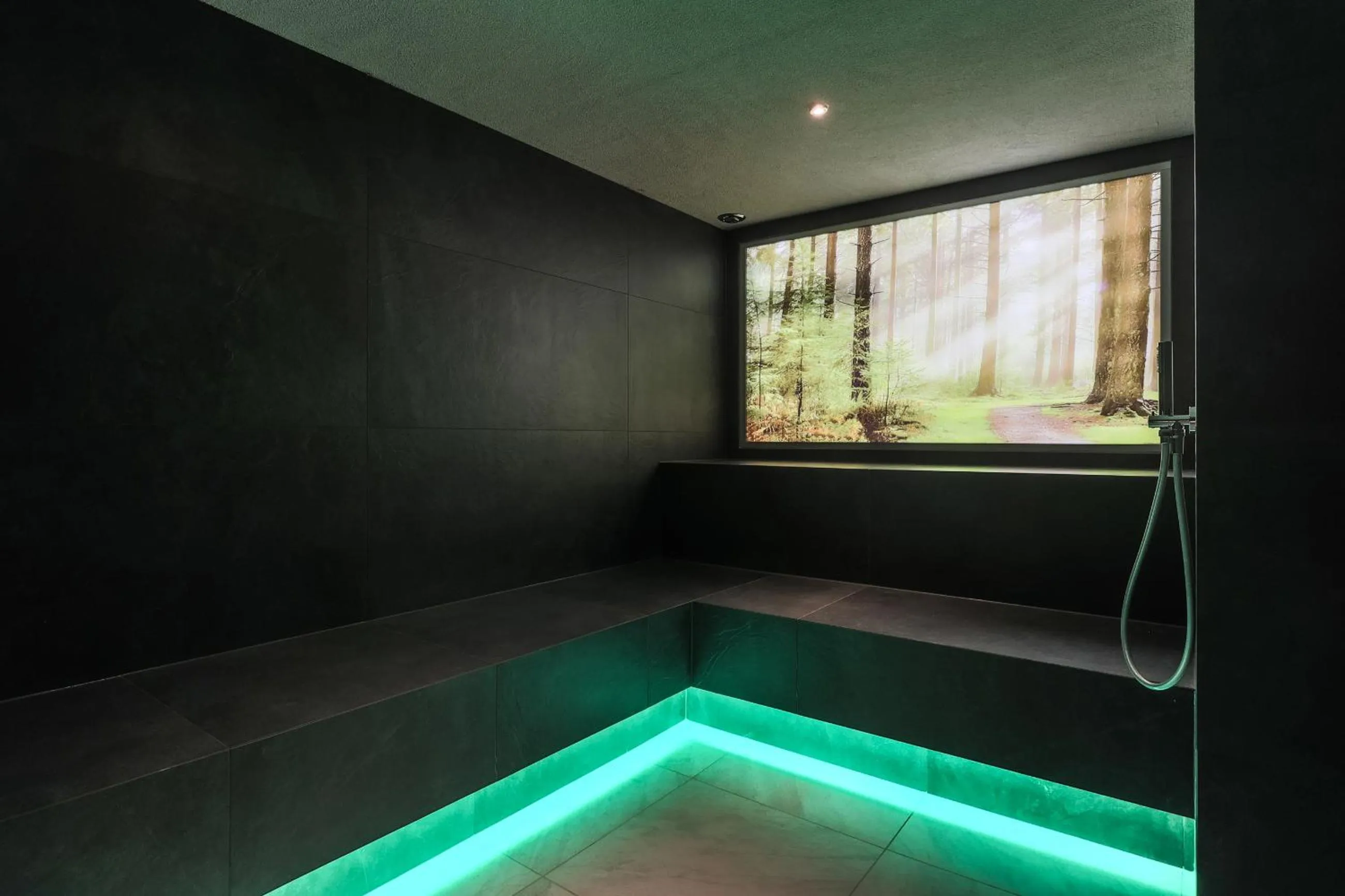 Spa and wellness centre/facilities in Laurena Aparthotel