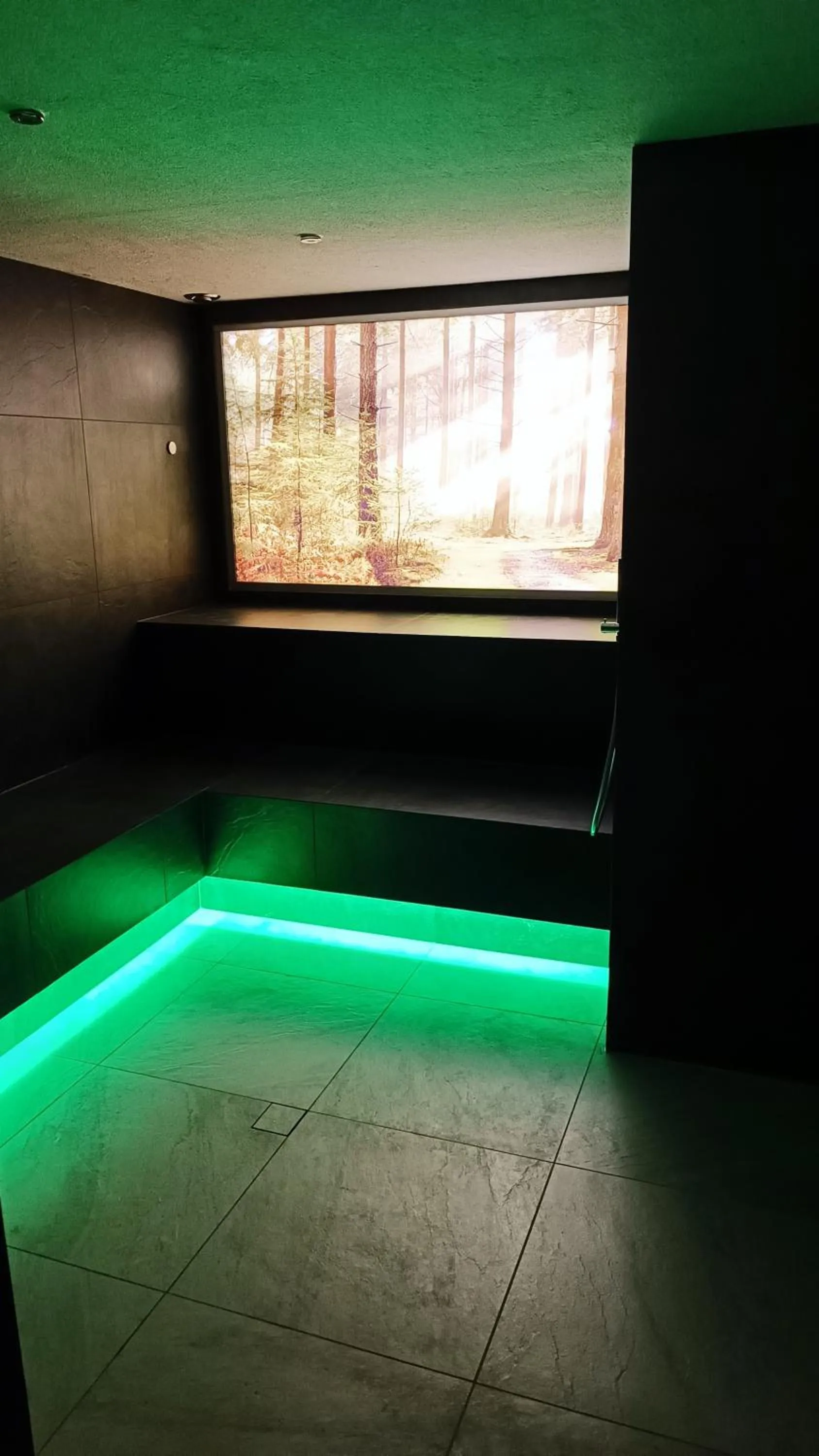 Sauna in Laurena Aparthotel