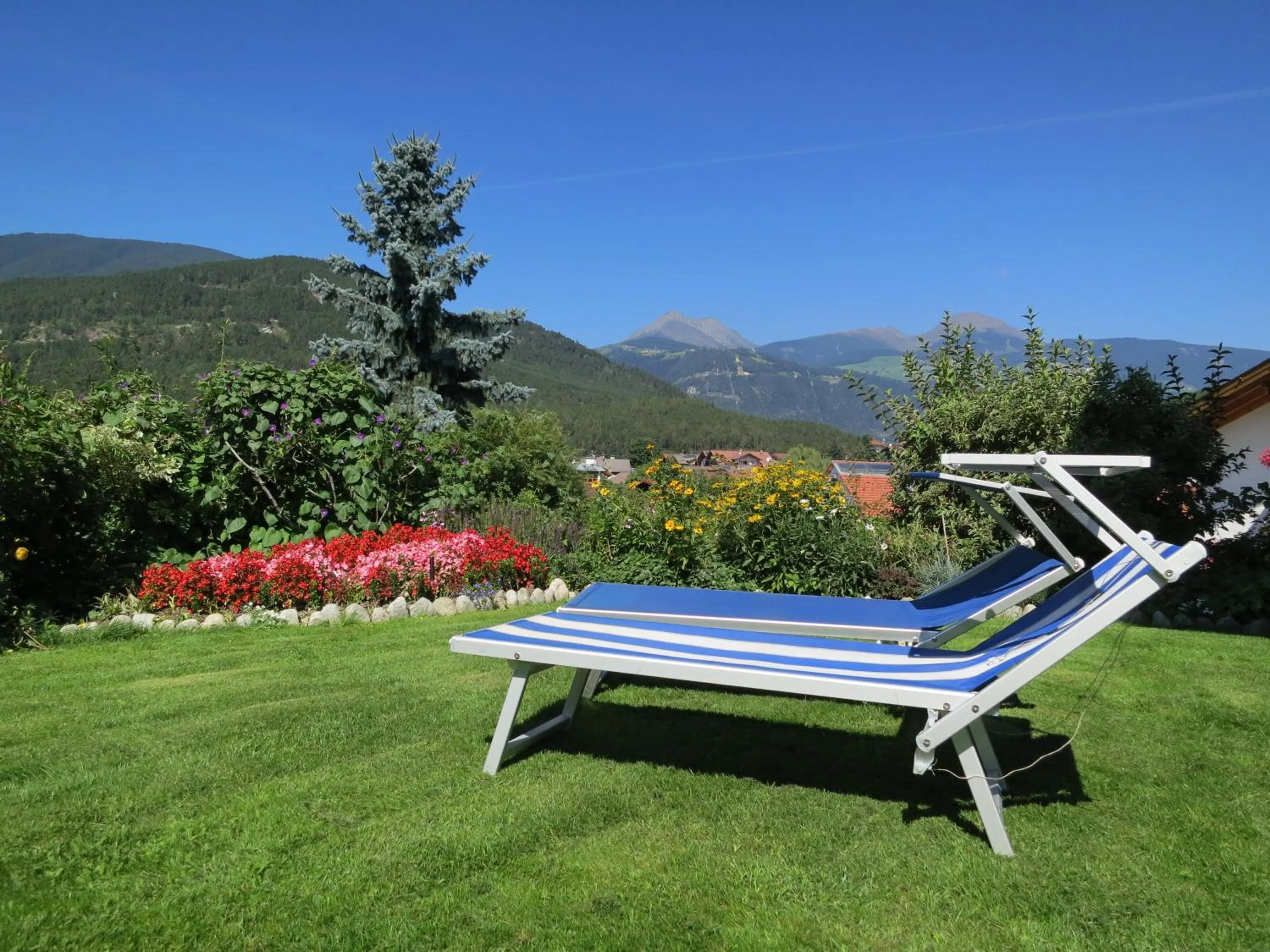 Garden in Hotel Waldheim